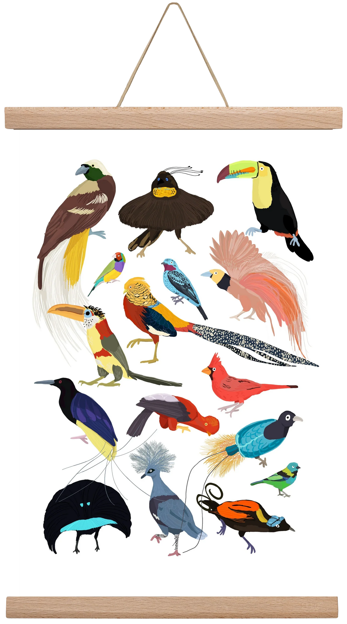 Birds of Prey - artbridge