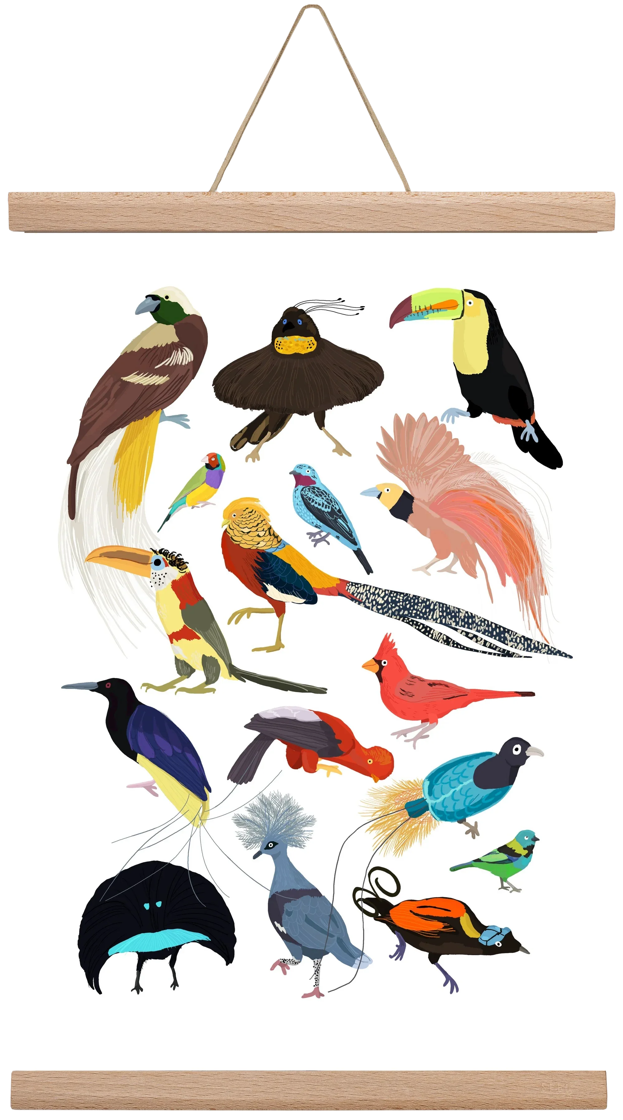Birds of Prey - artbridge