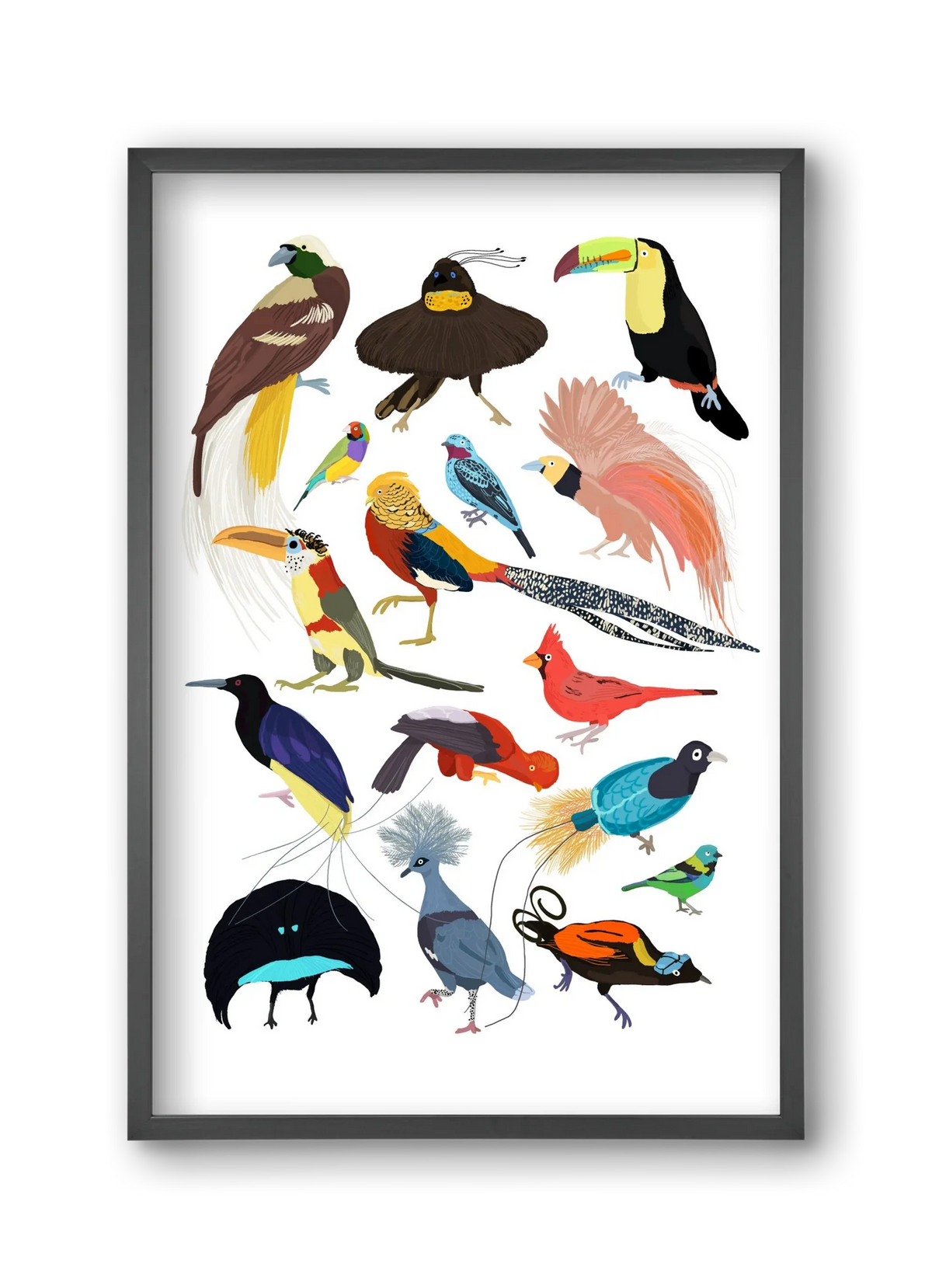 Birds of Prey - artbridge