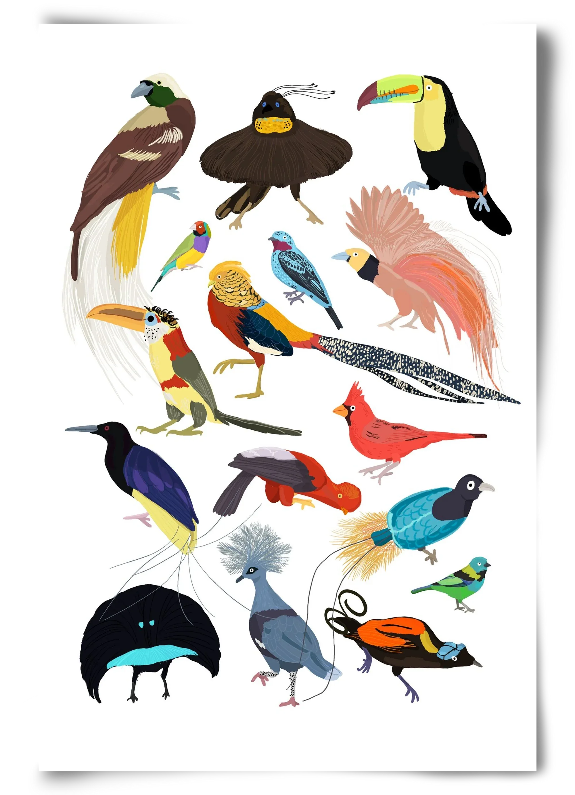 Birds of Prey - artbridge