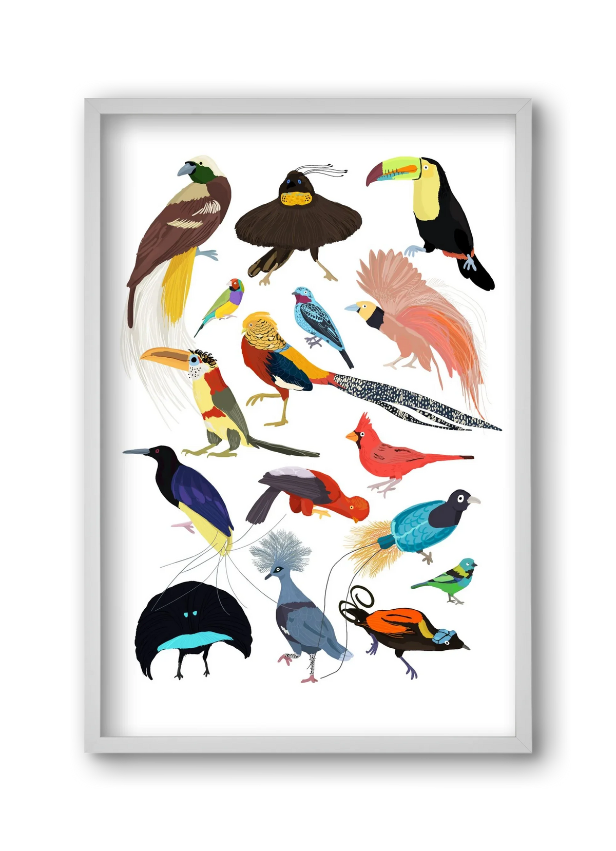 Birds of Prey - artbridge