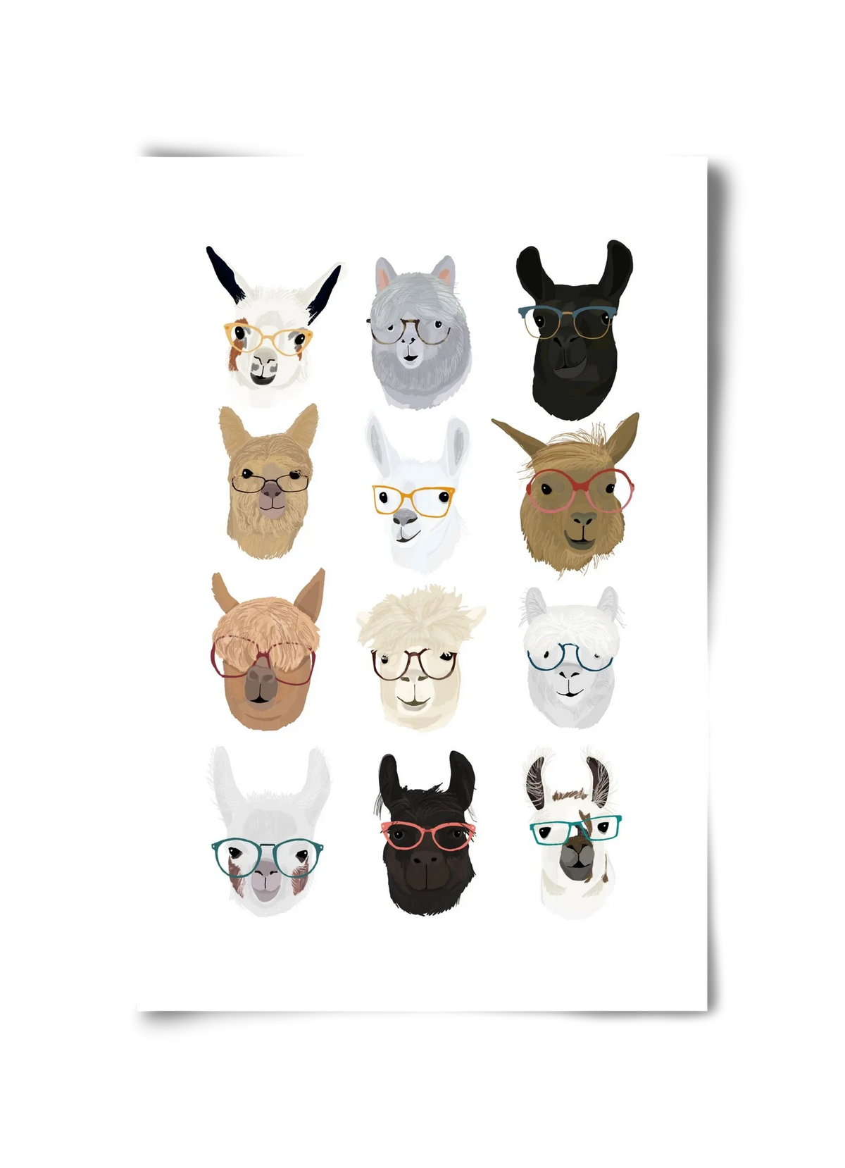 Llamas in Glasses - artbridge