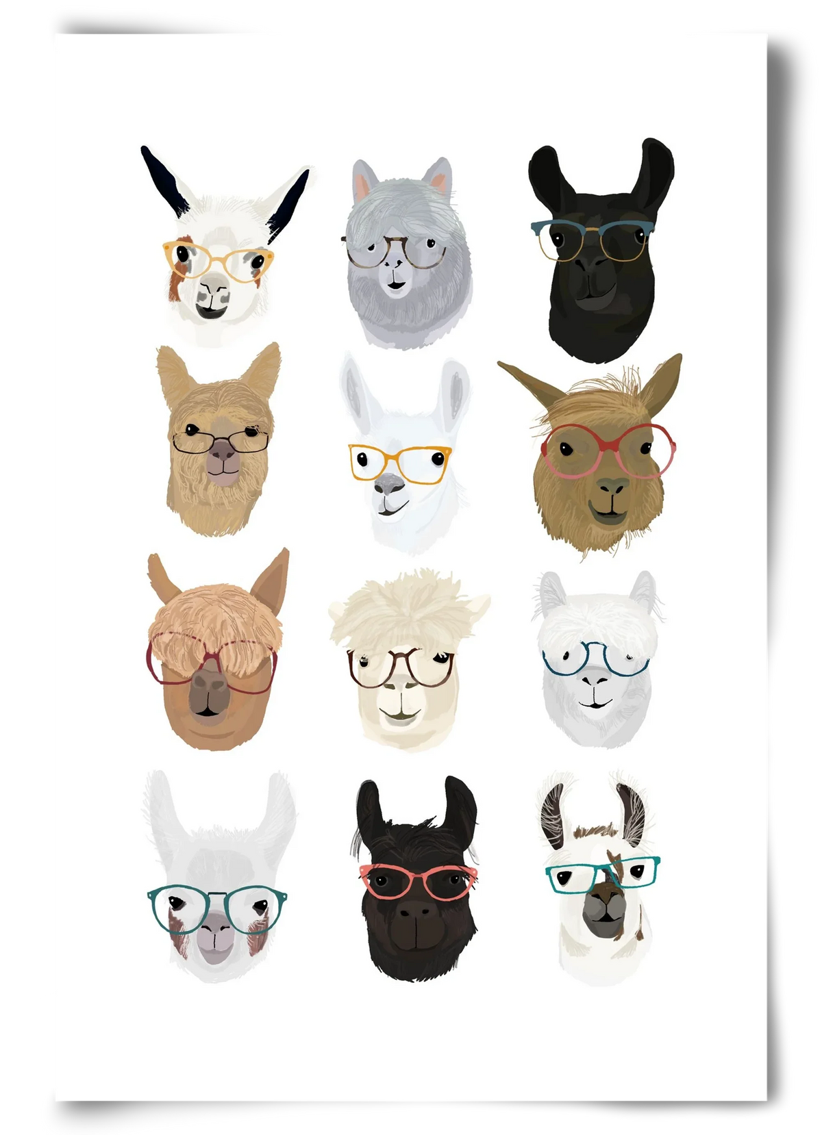 Llamas in Glasses - artbridge