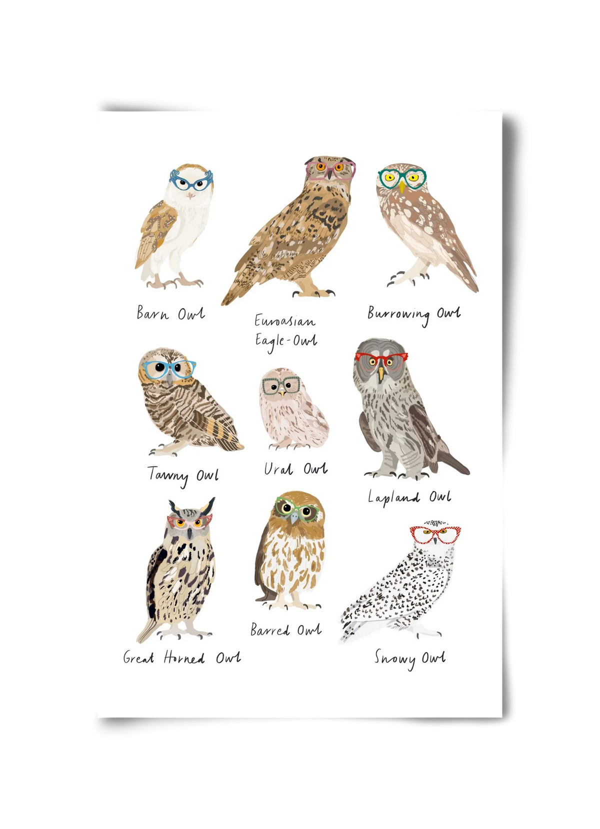 Owls in Glasses - artbridge