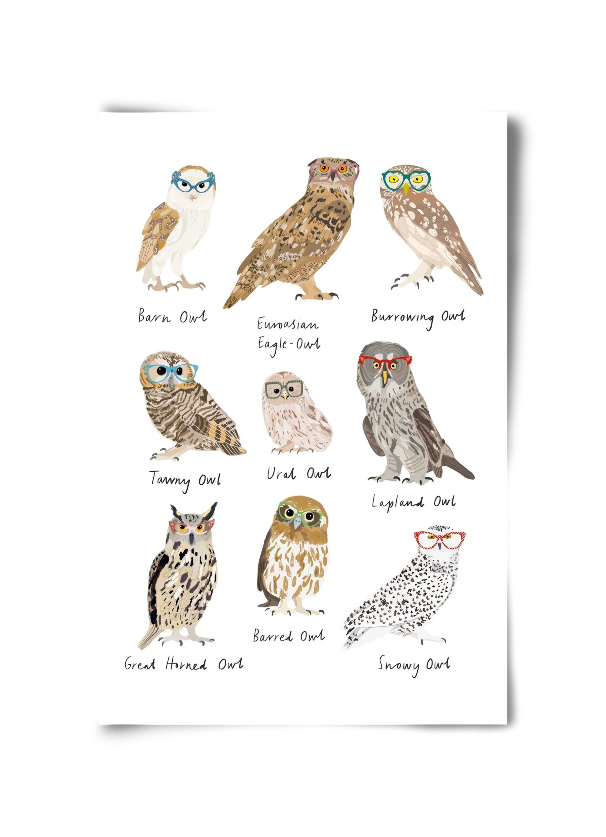 Owls in Glasses - artbridge