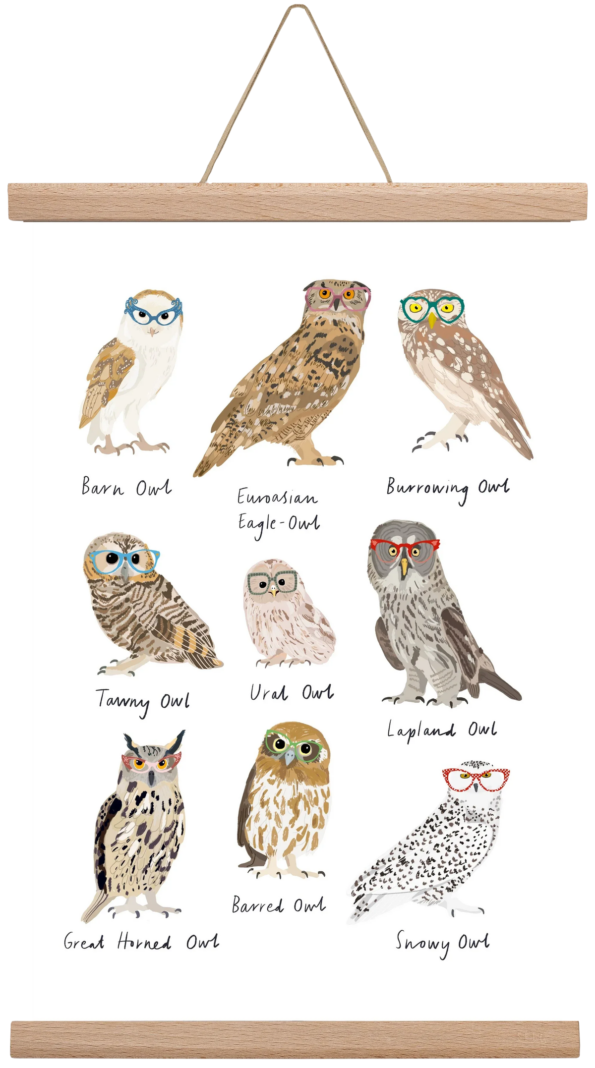Owls in Glasses - artbridge