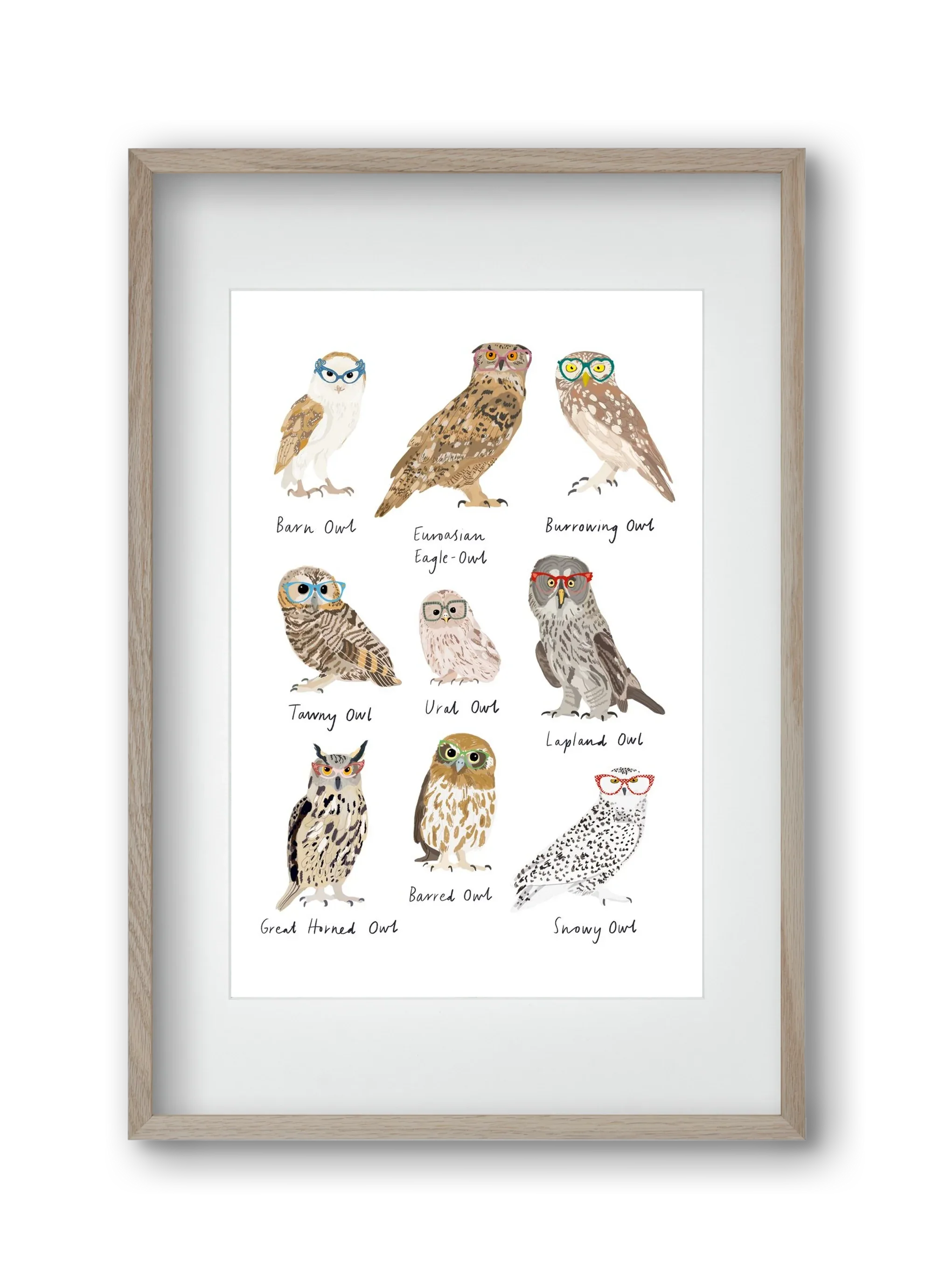 Owls in Glasses - artbridge