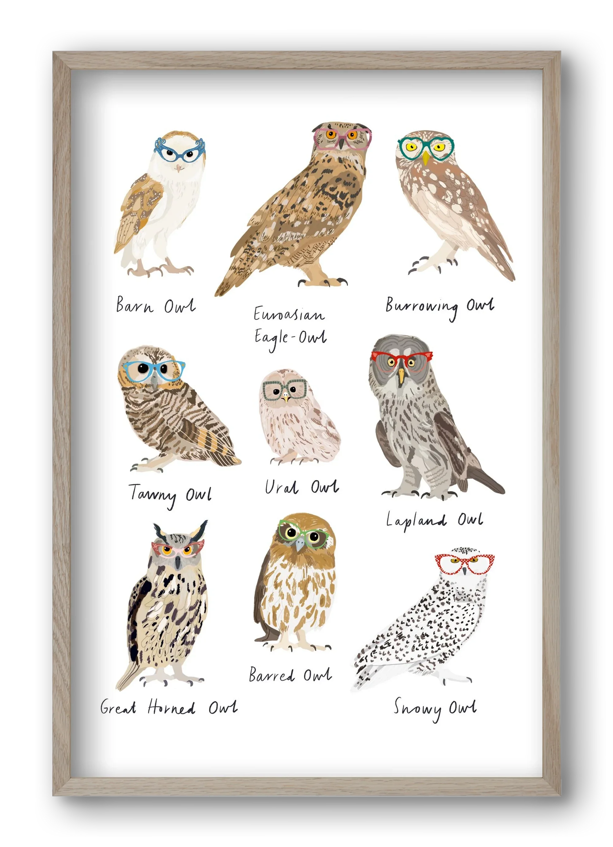 Owls in Glasses - artbridge