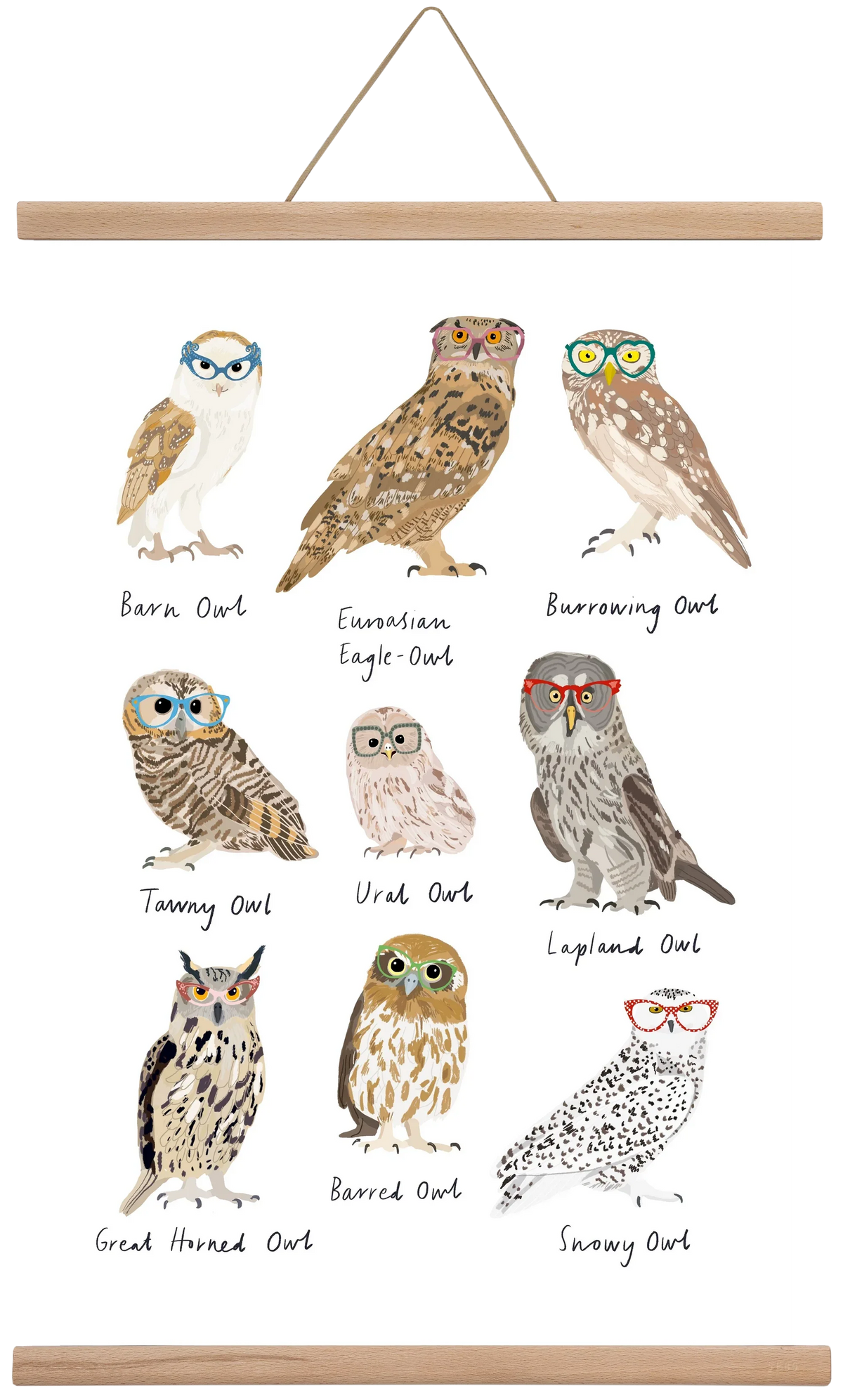 Owls in Glasses - artbridge