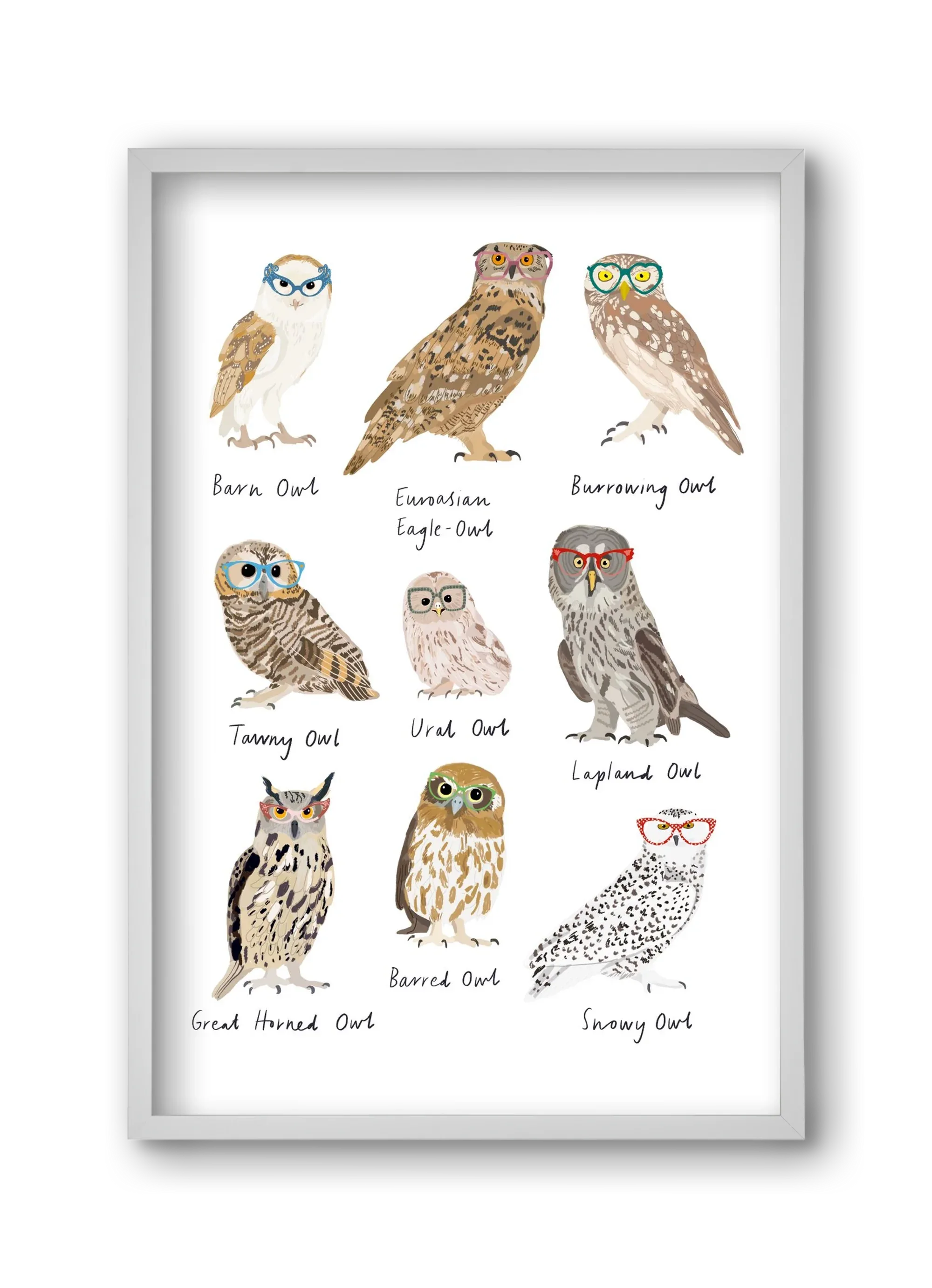 Owls in Glasses - artbridge