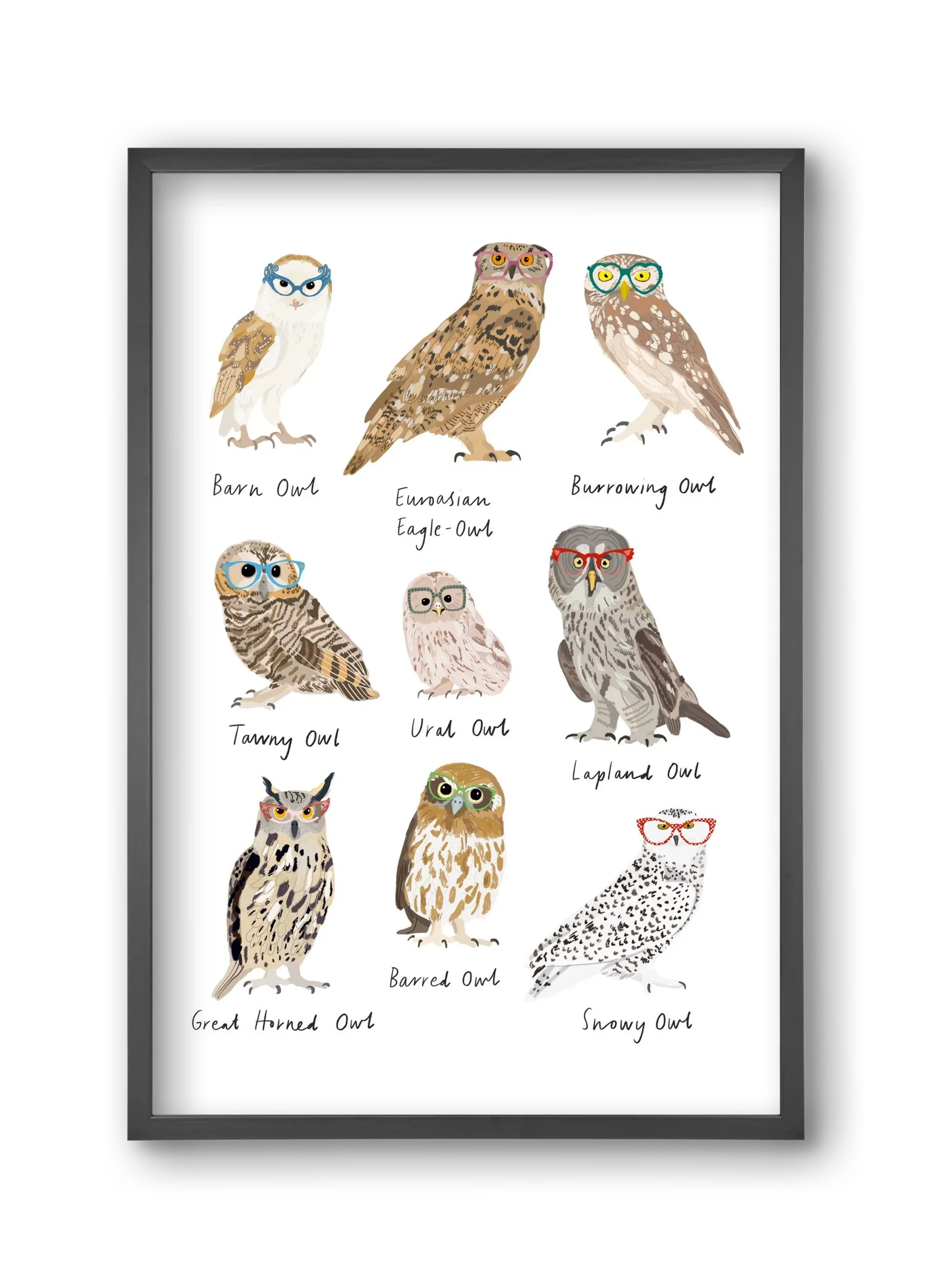 Owls in Glasses - artbridge