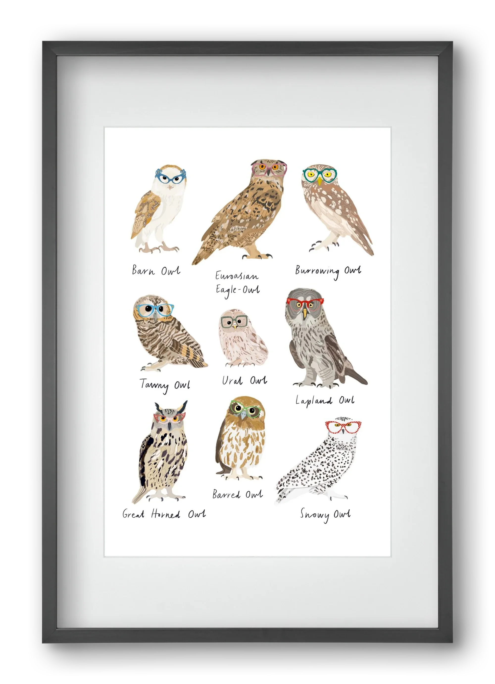 Owls in Glasses - artbridge