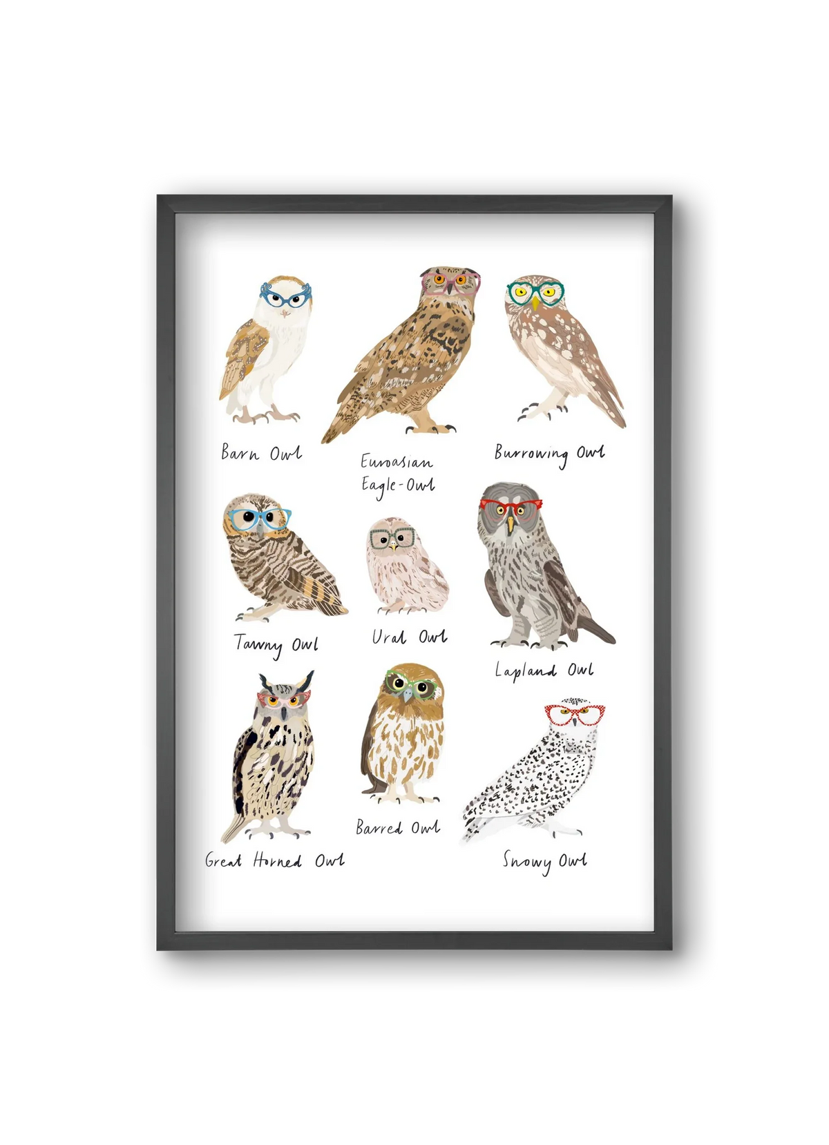Owls in Glasses - artbridge