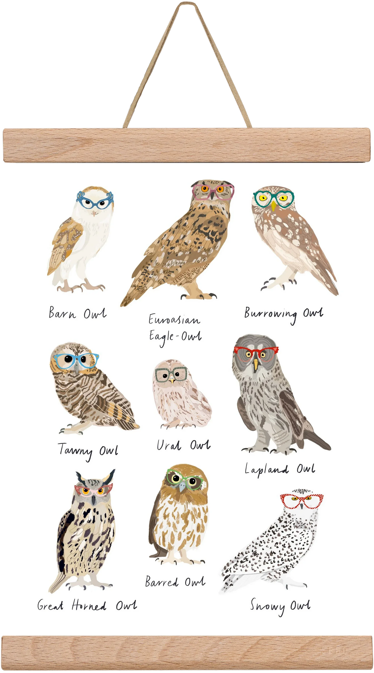 Owls in Glasses - artbridge