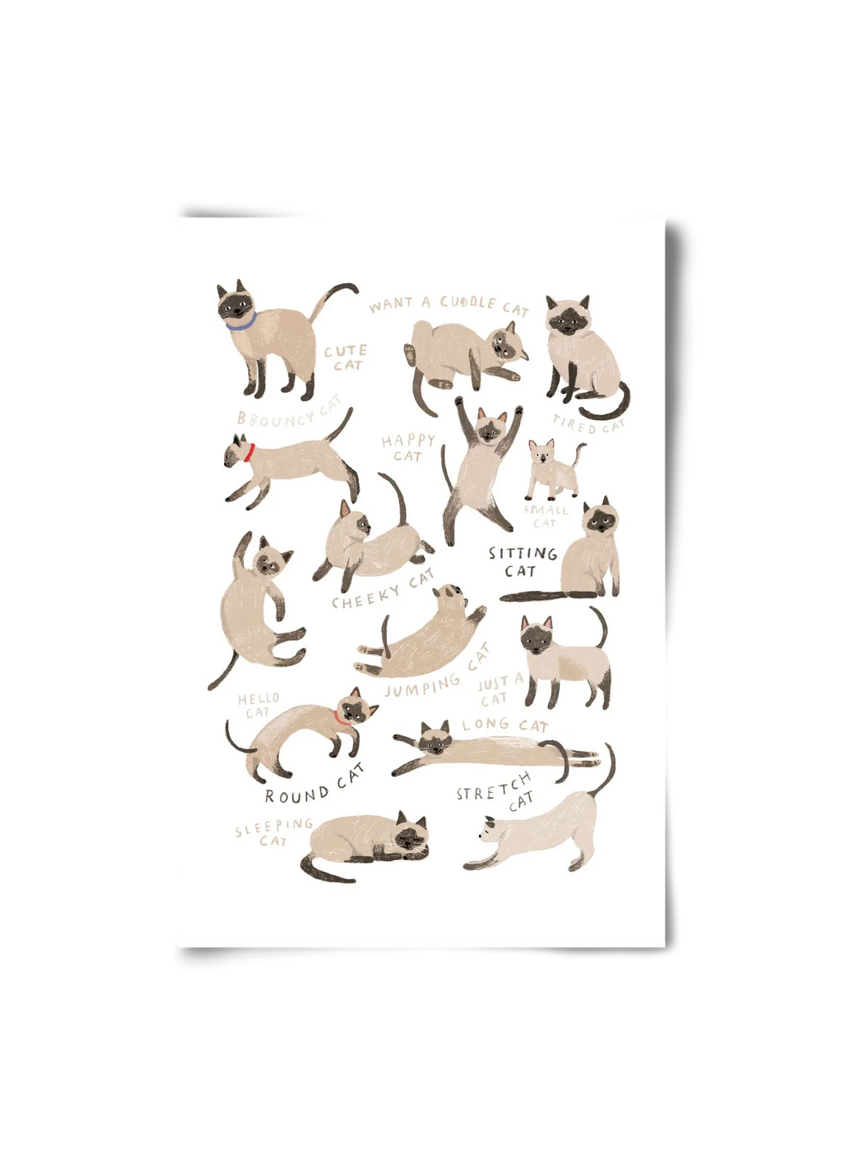 Siamese Cats - artbridge
