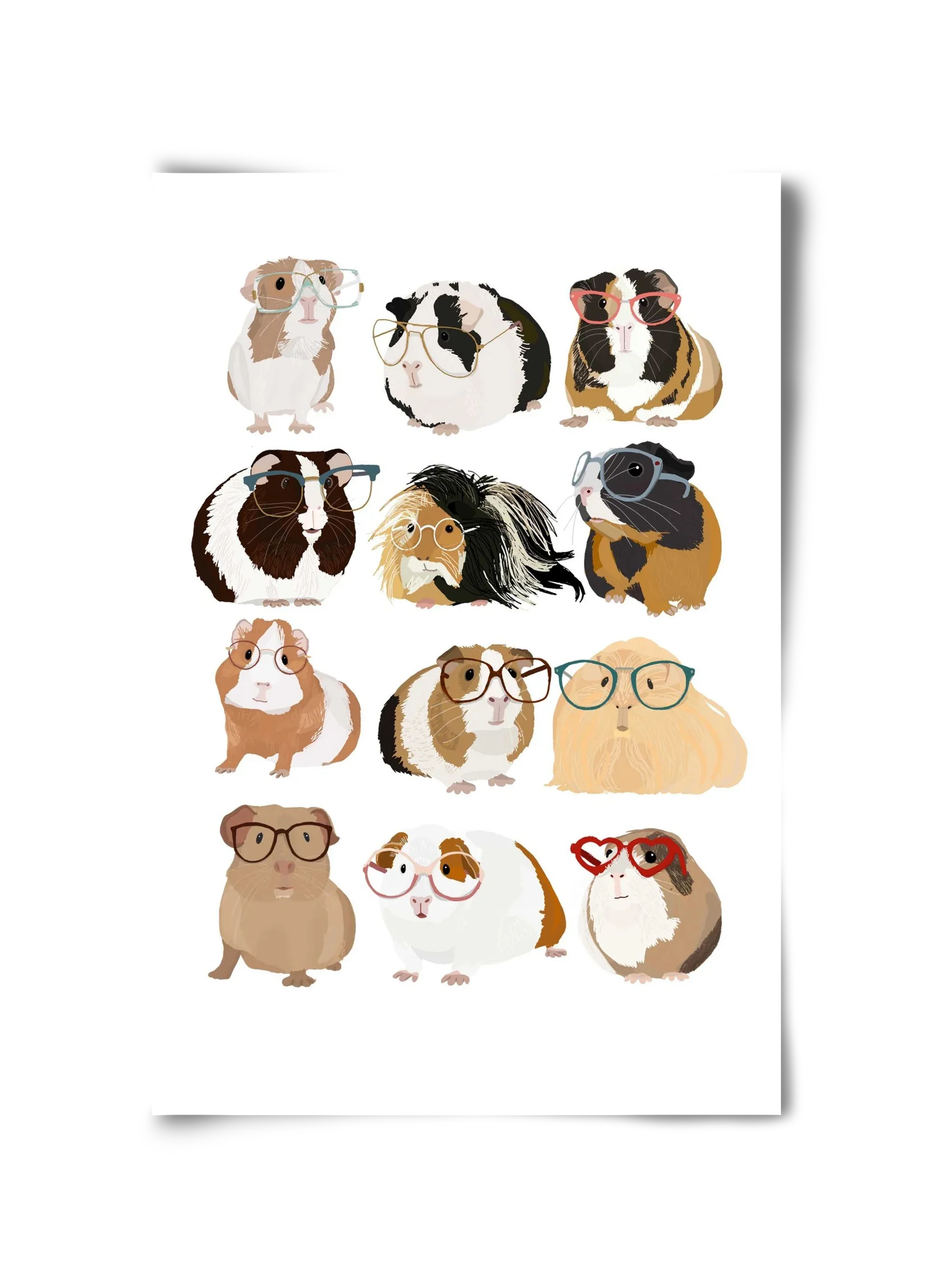 Guinea Pigs in Glasses - artbridge