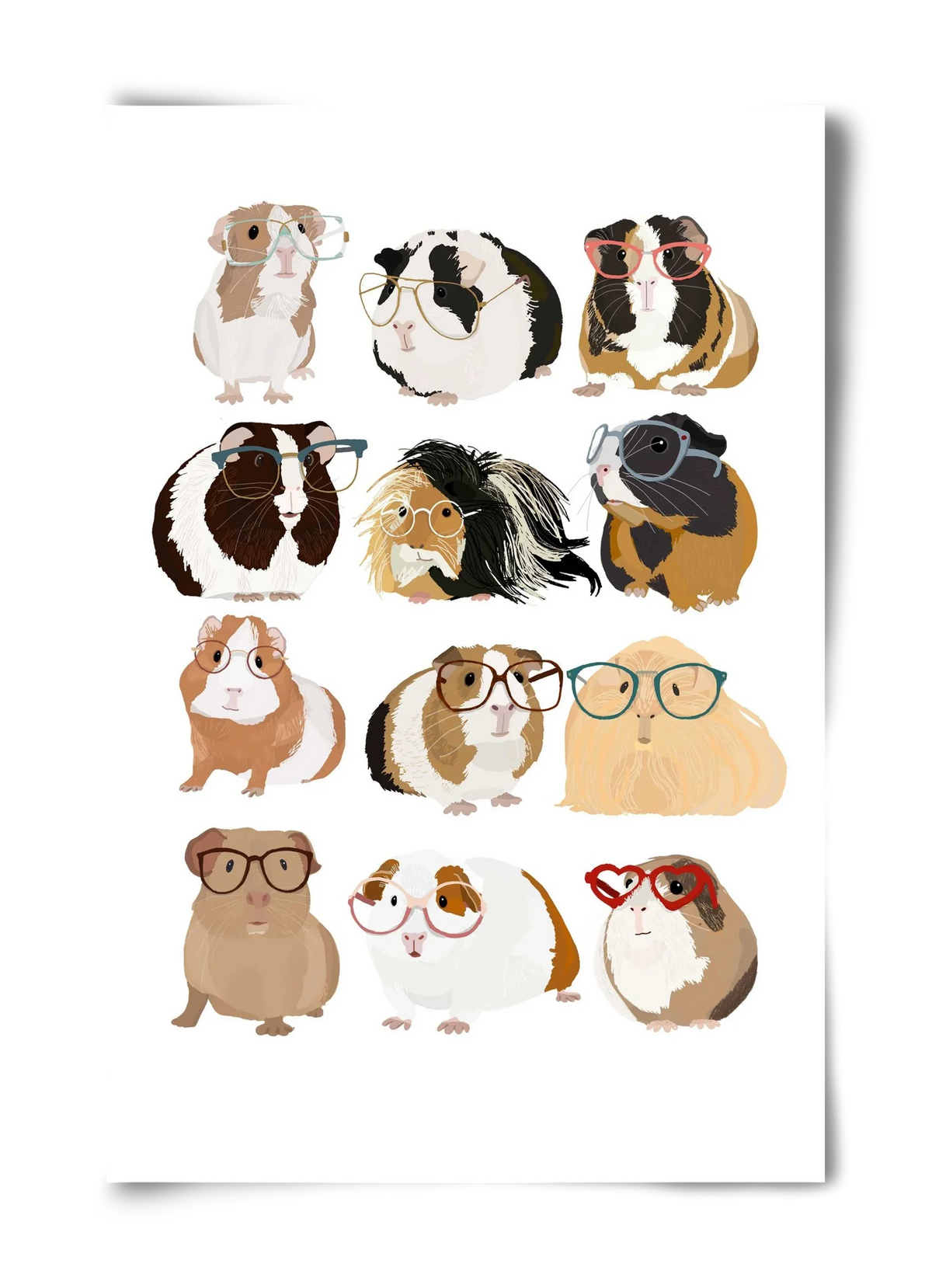 Guinea Pigs in Glasses - artbridge