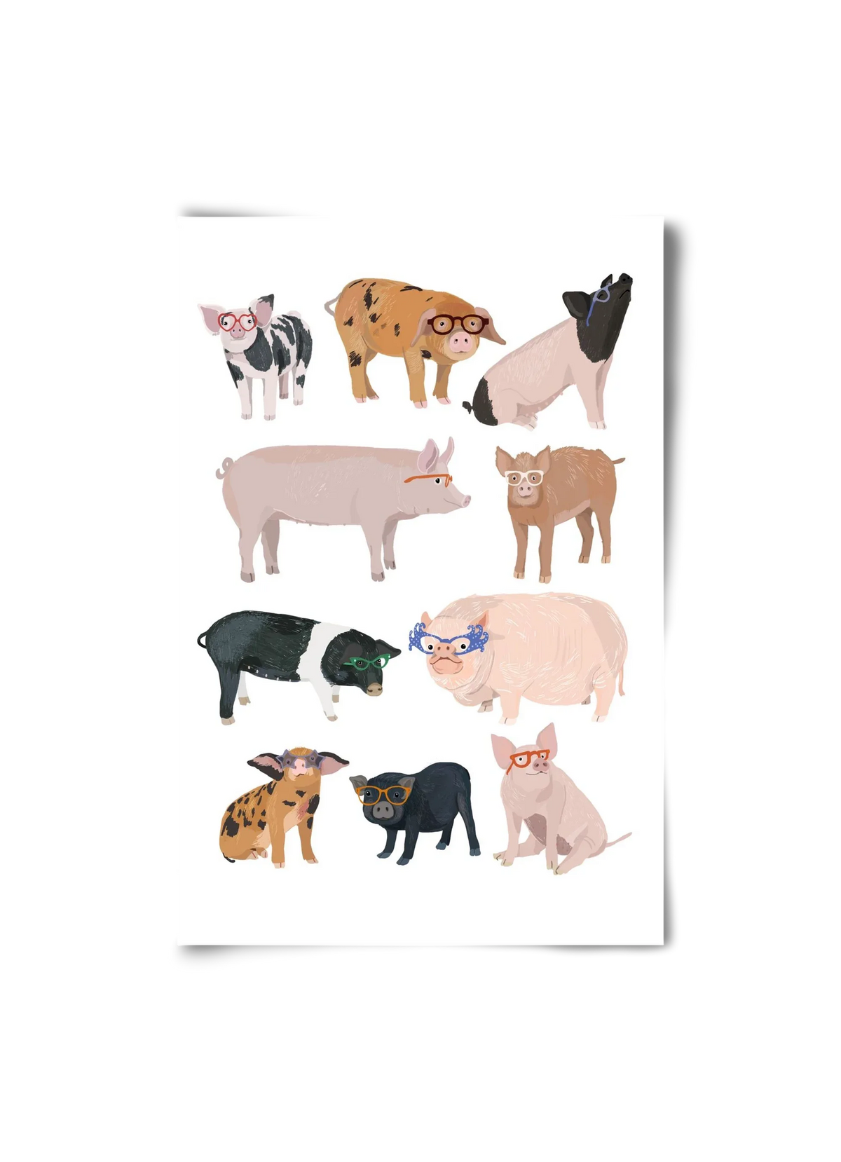 Pigs in Glasses - artbridge