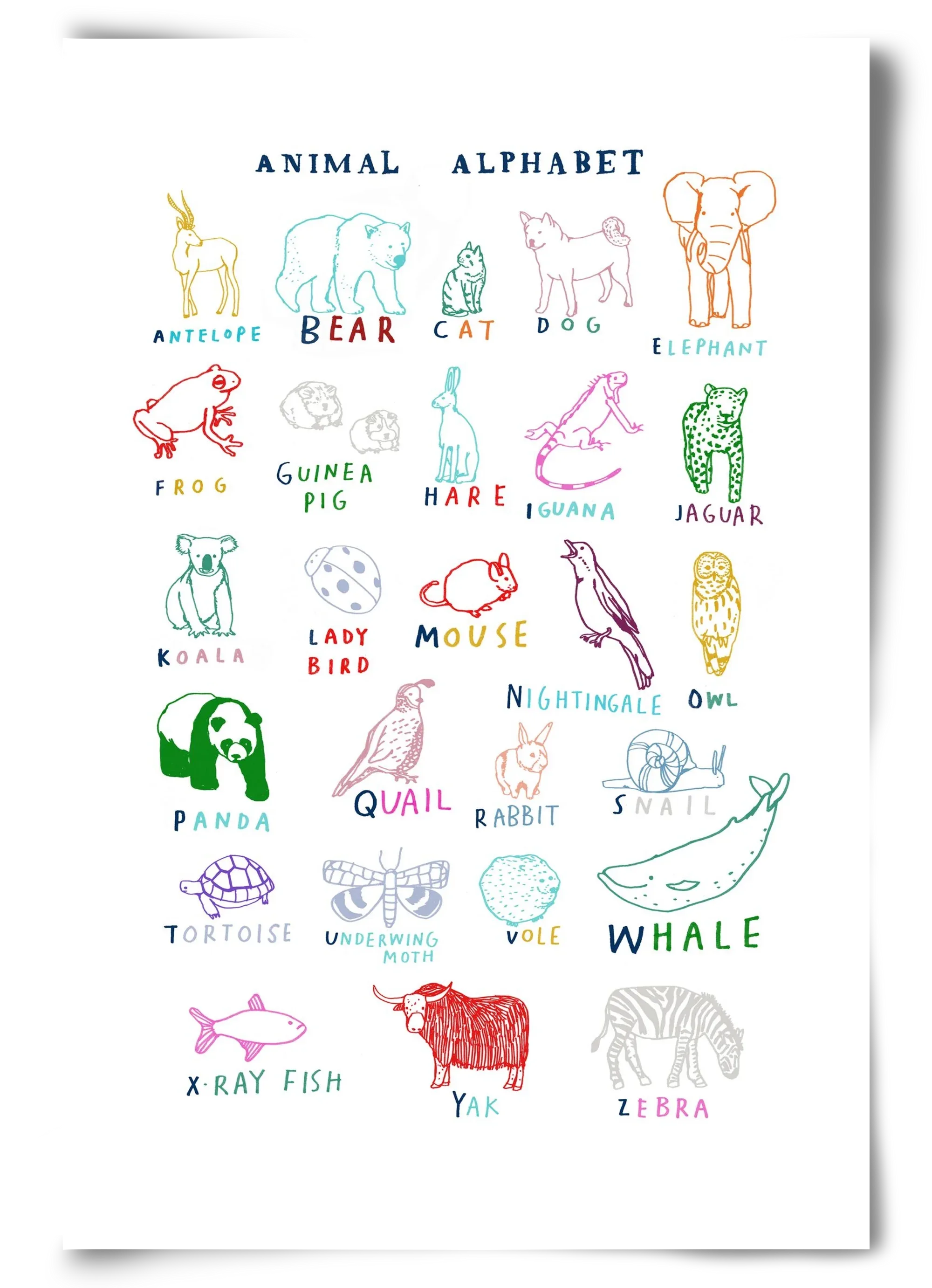 Animal Alphabeth - artbridge