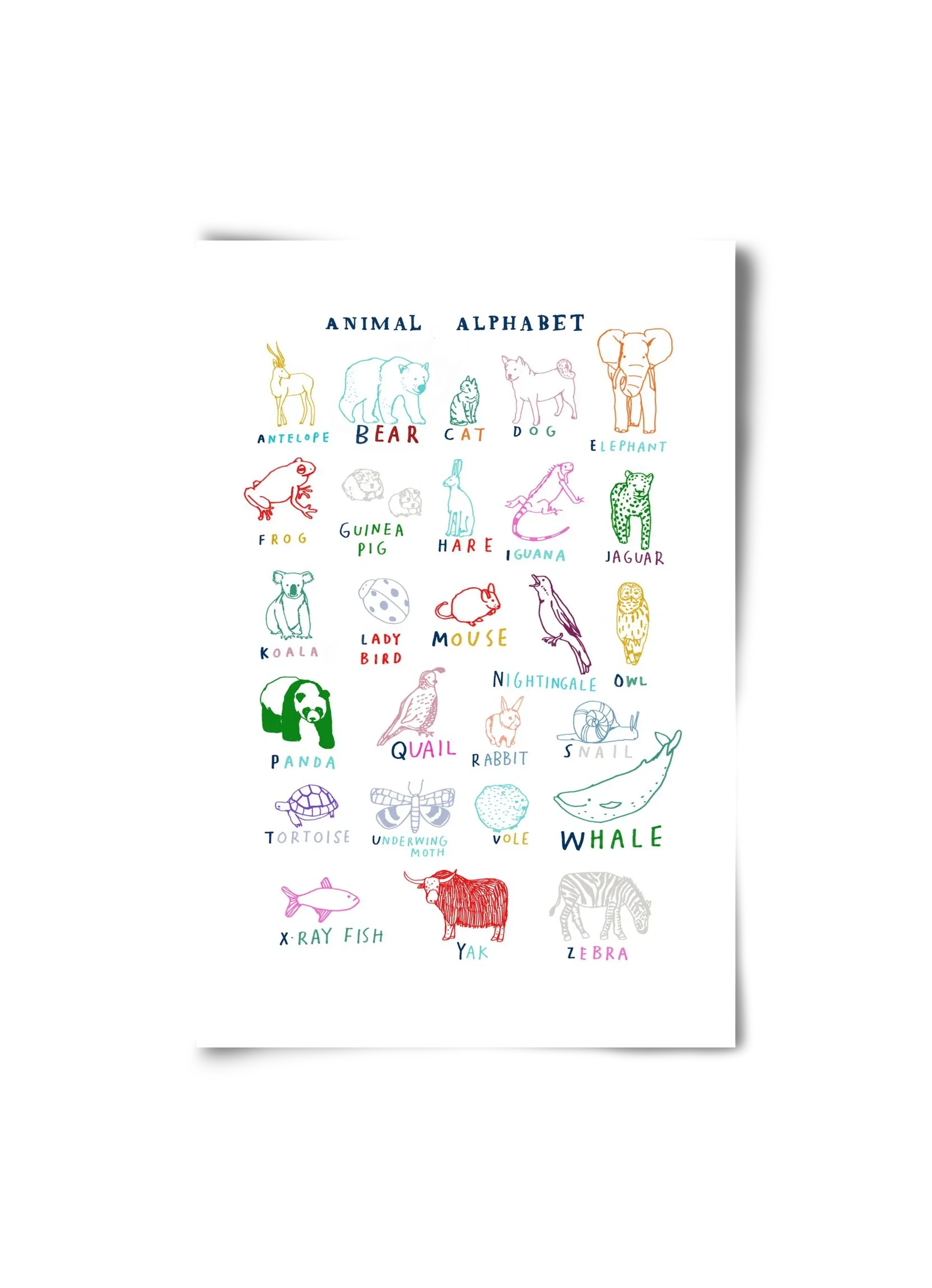 Animal Alphabeth - artbridge
