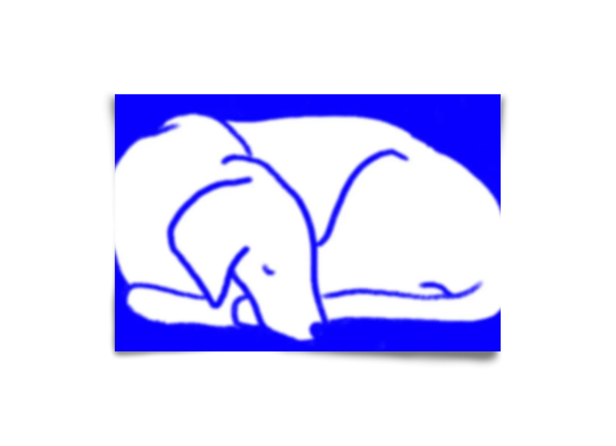 Good Night Blurry Dog - artbridge