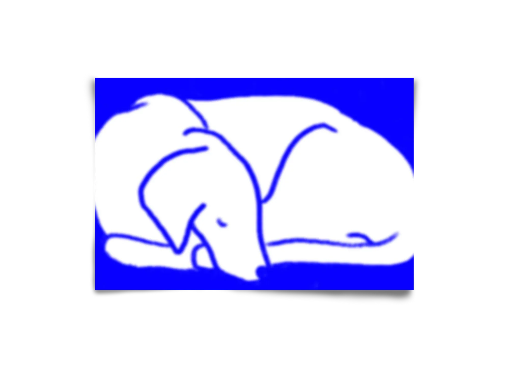 Good Night Blurry Dog - artbridge