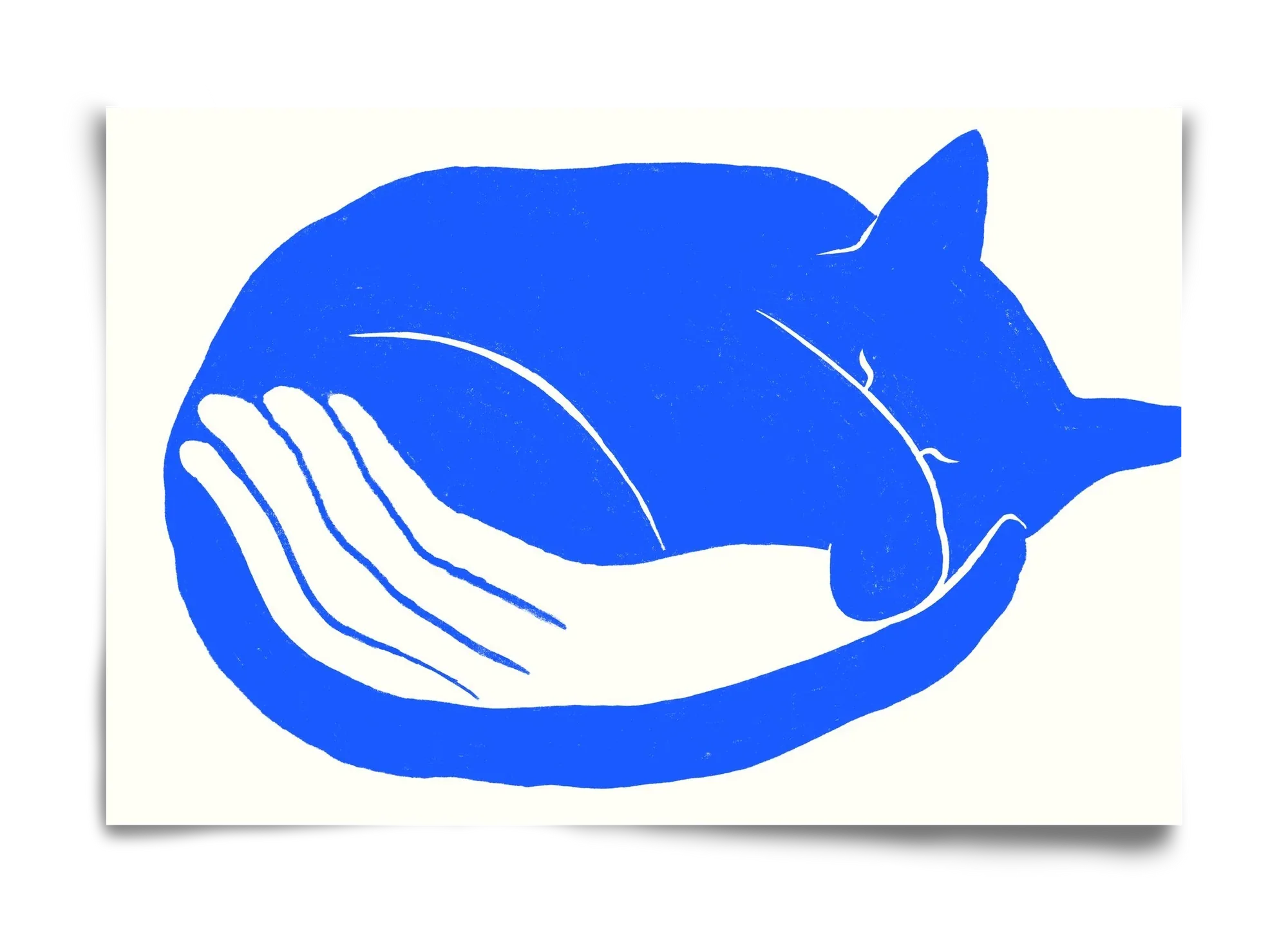 Cosy Cat - artbridge