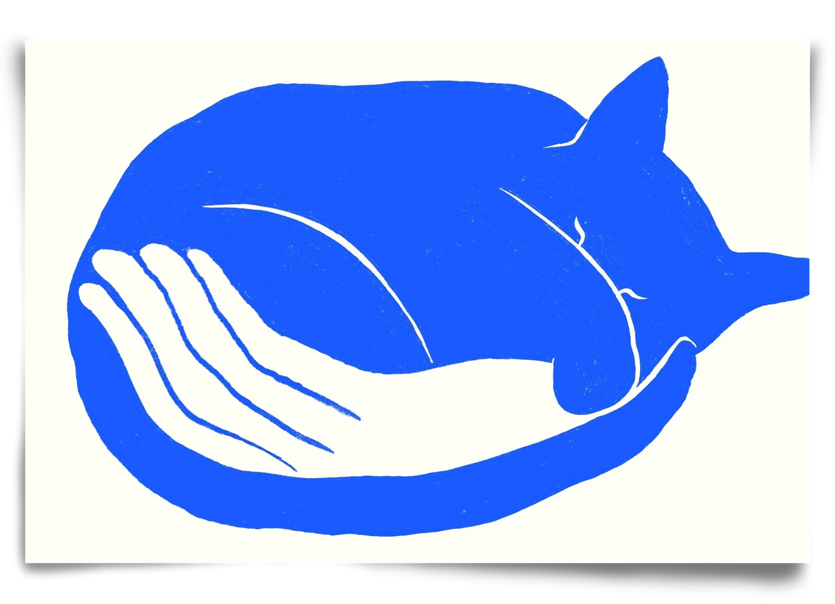 Cosy Cat - artbridge