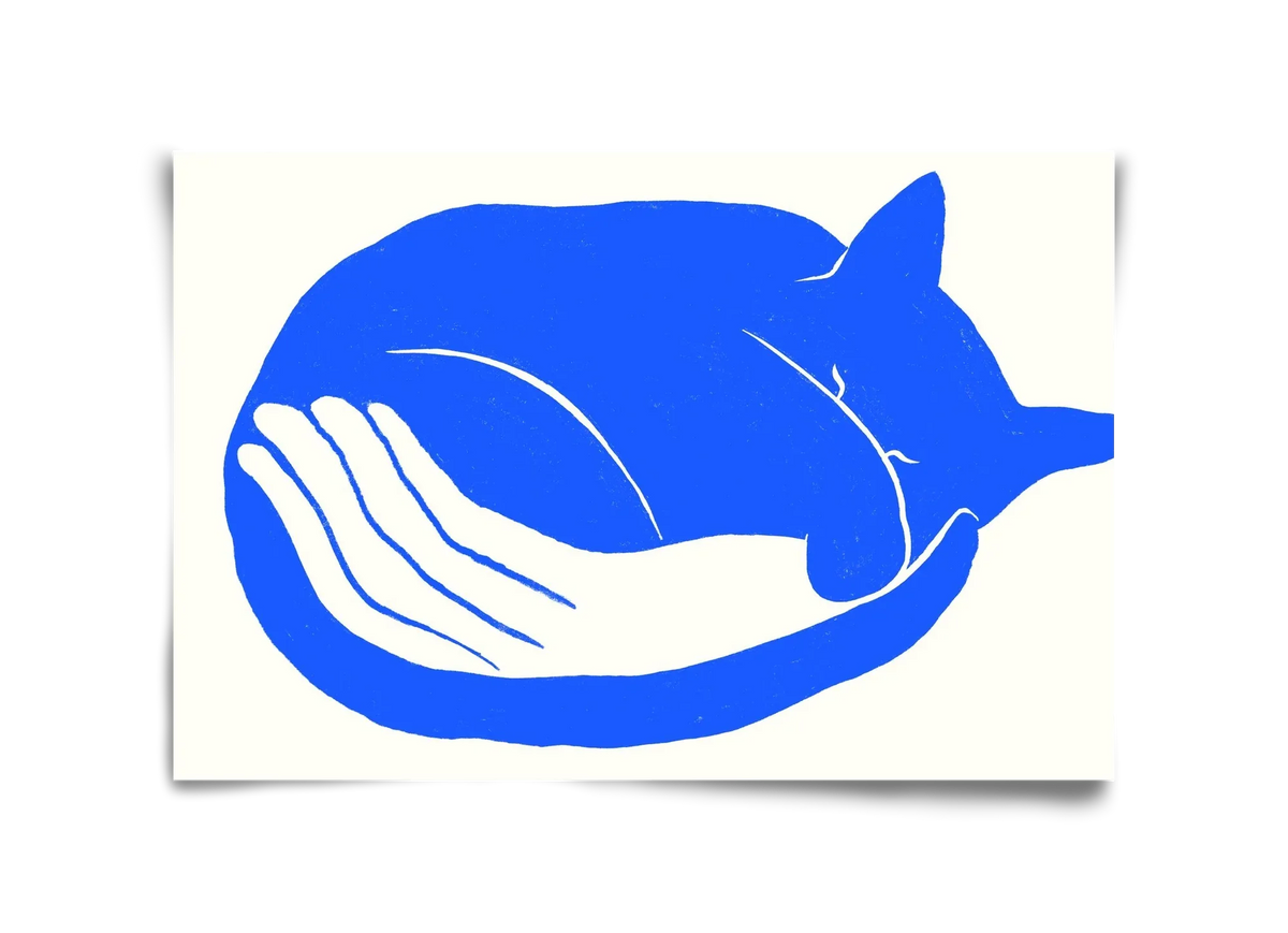 Cosy Cat - artbridge