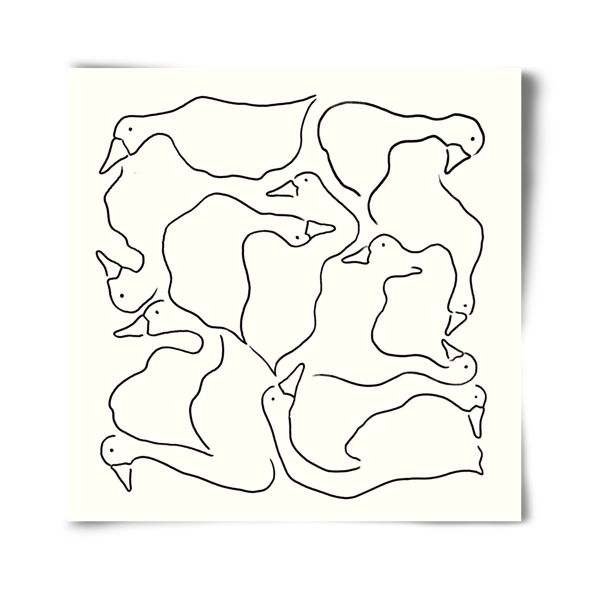 Duck Duck Goose in black and white - artbridge
