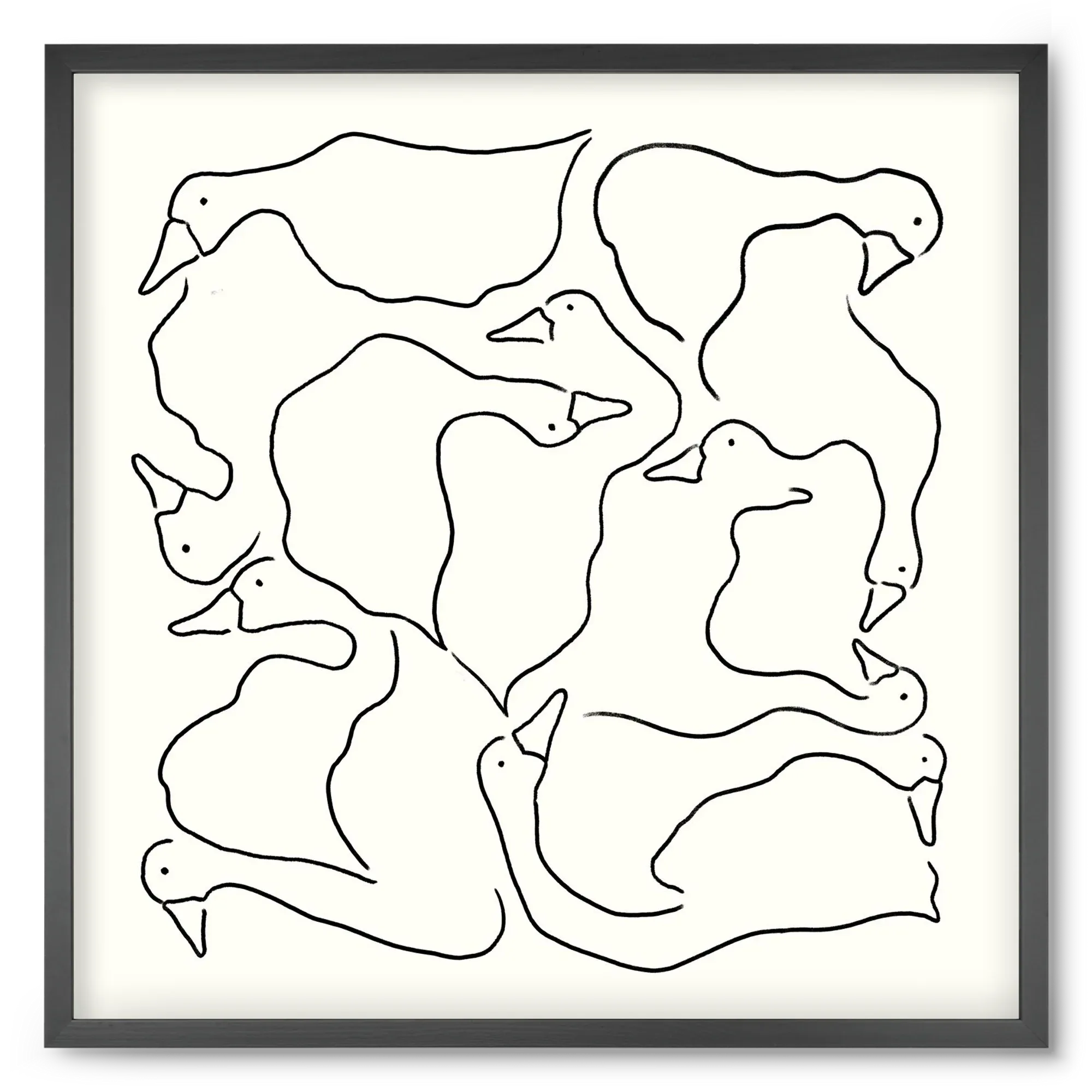 Duck Duck Goose in black and white - artbridge