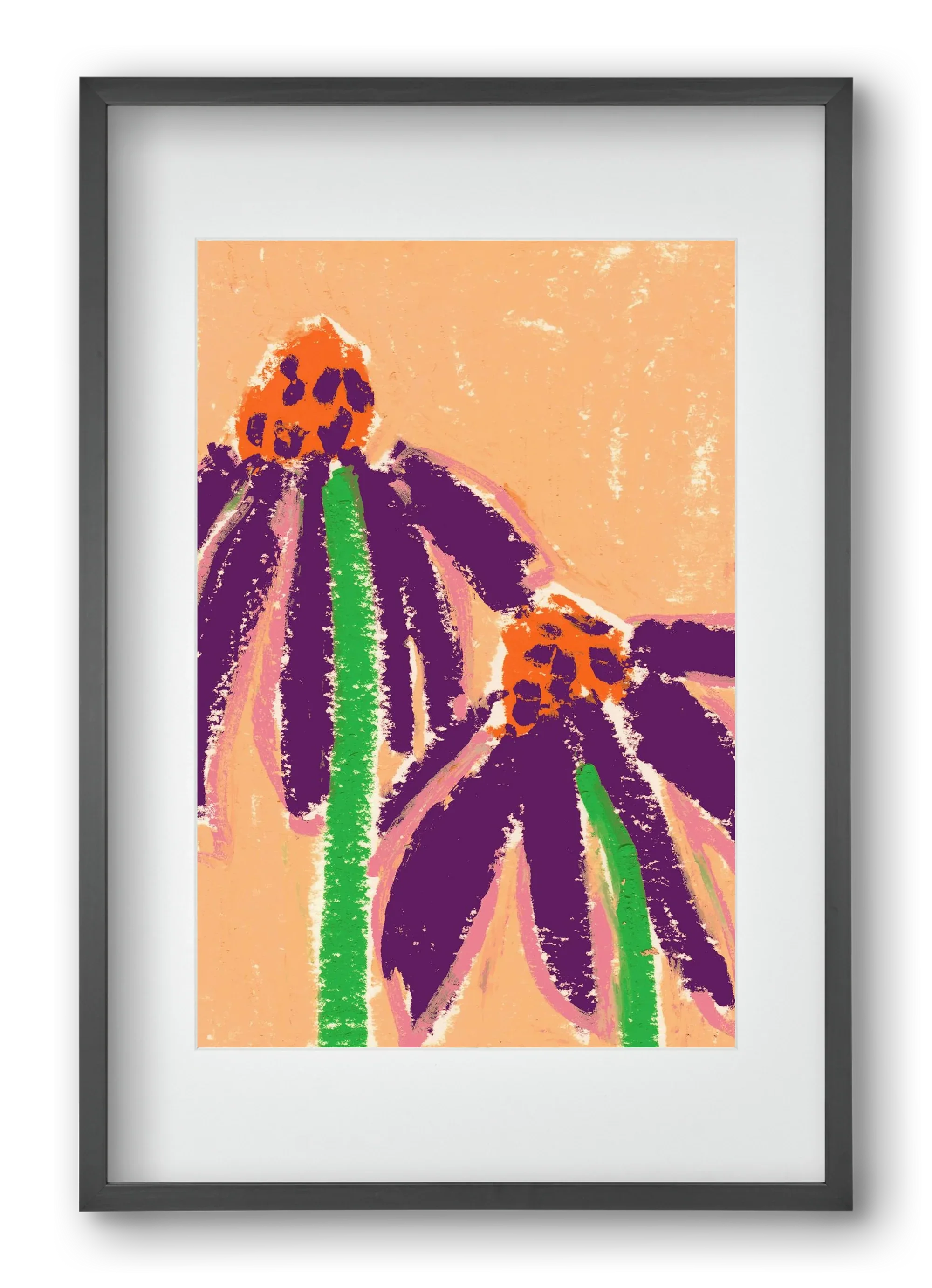 Echinacea - artbridge
