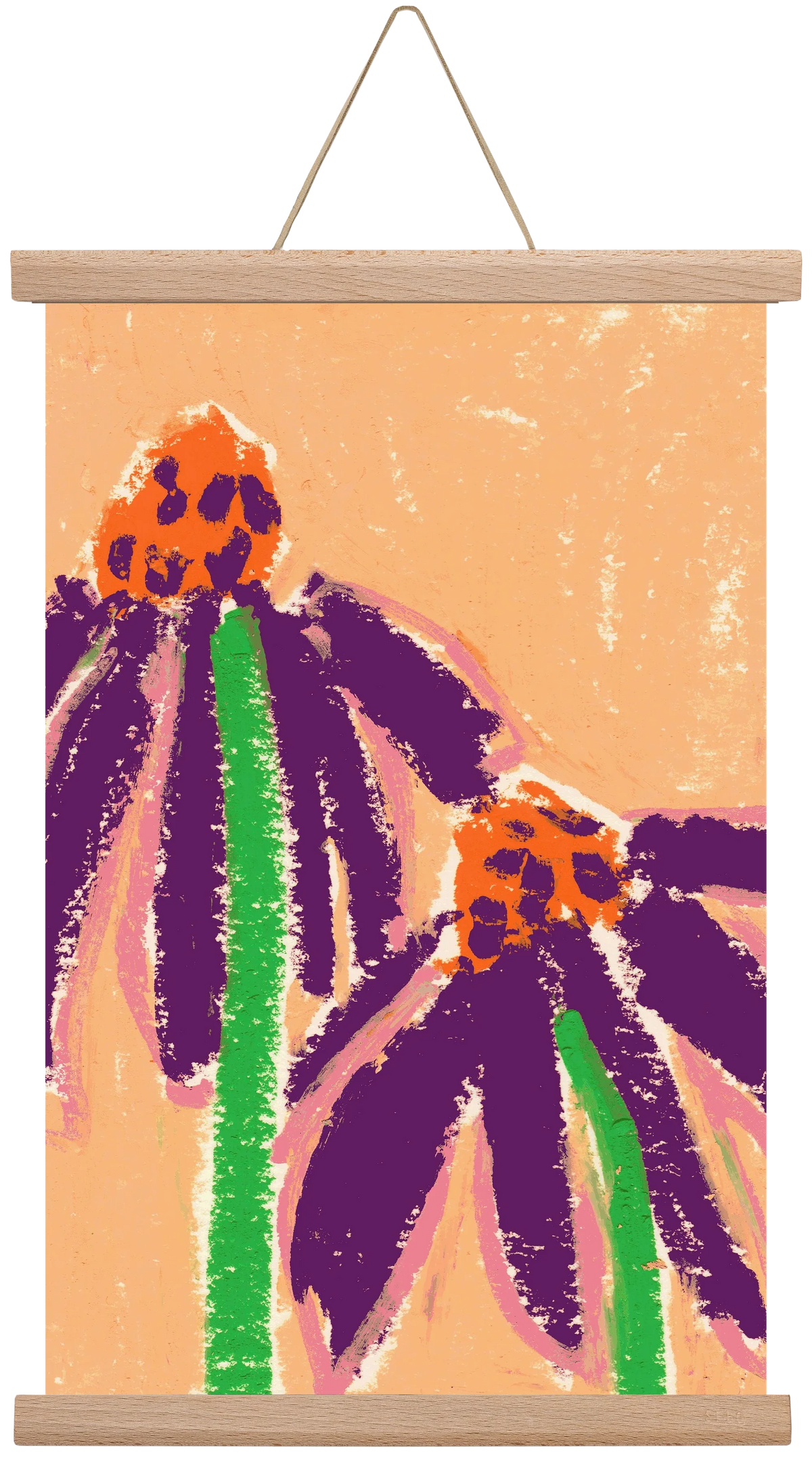 Echinacea - artbridge