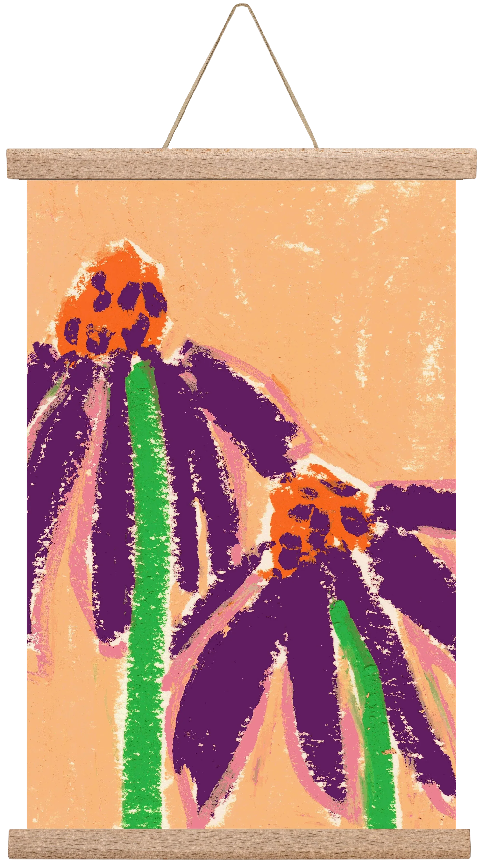 Echinacea - artbridge