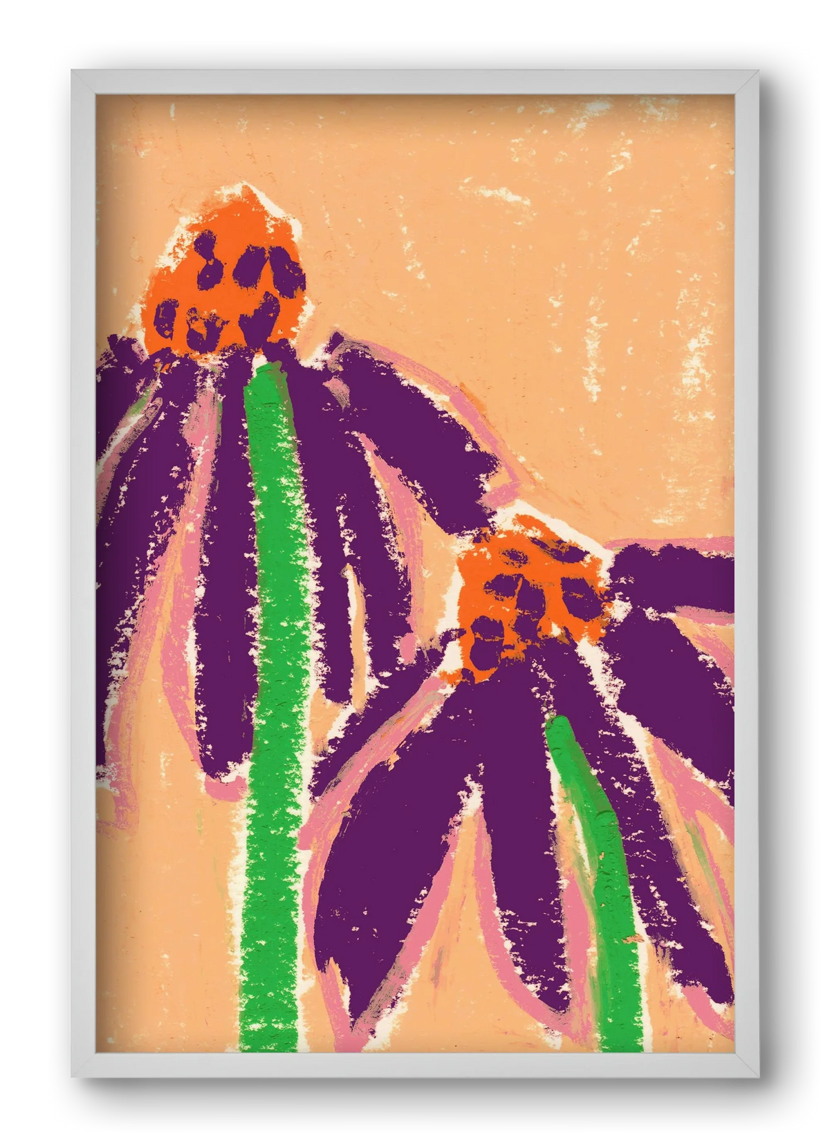 Echinacea - artbridge