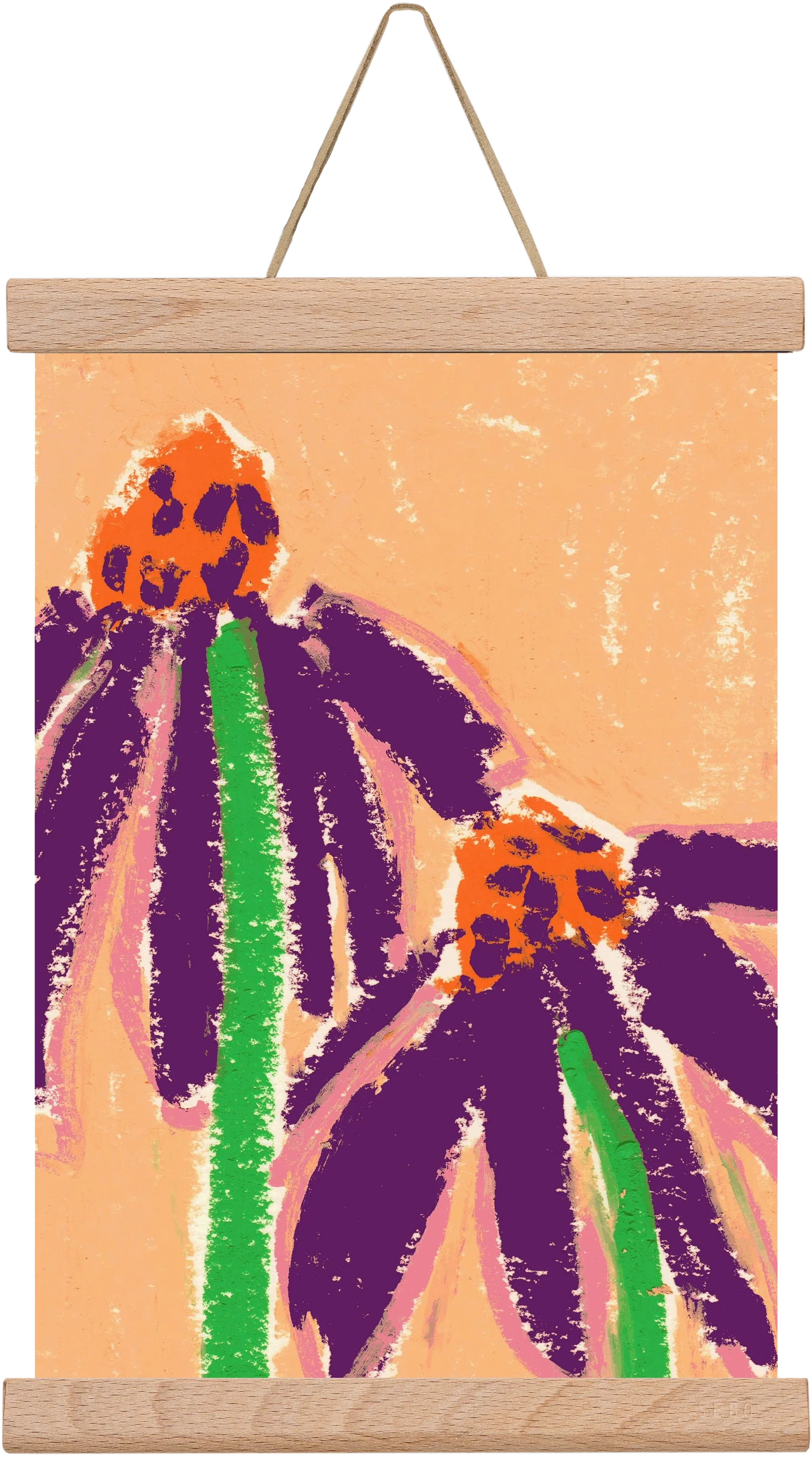 Echinacea - artbridge