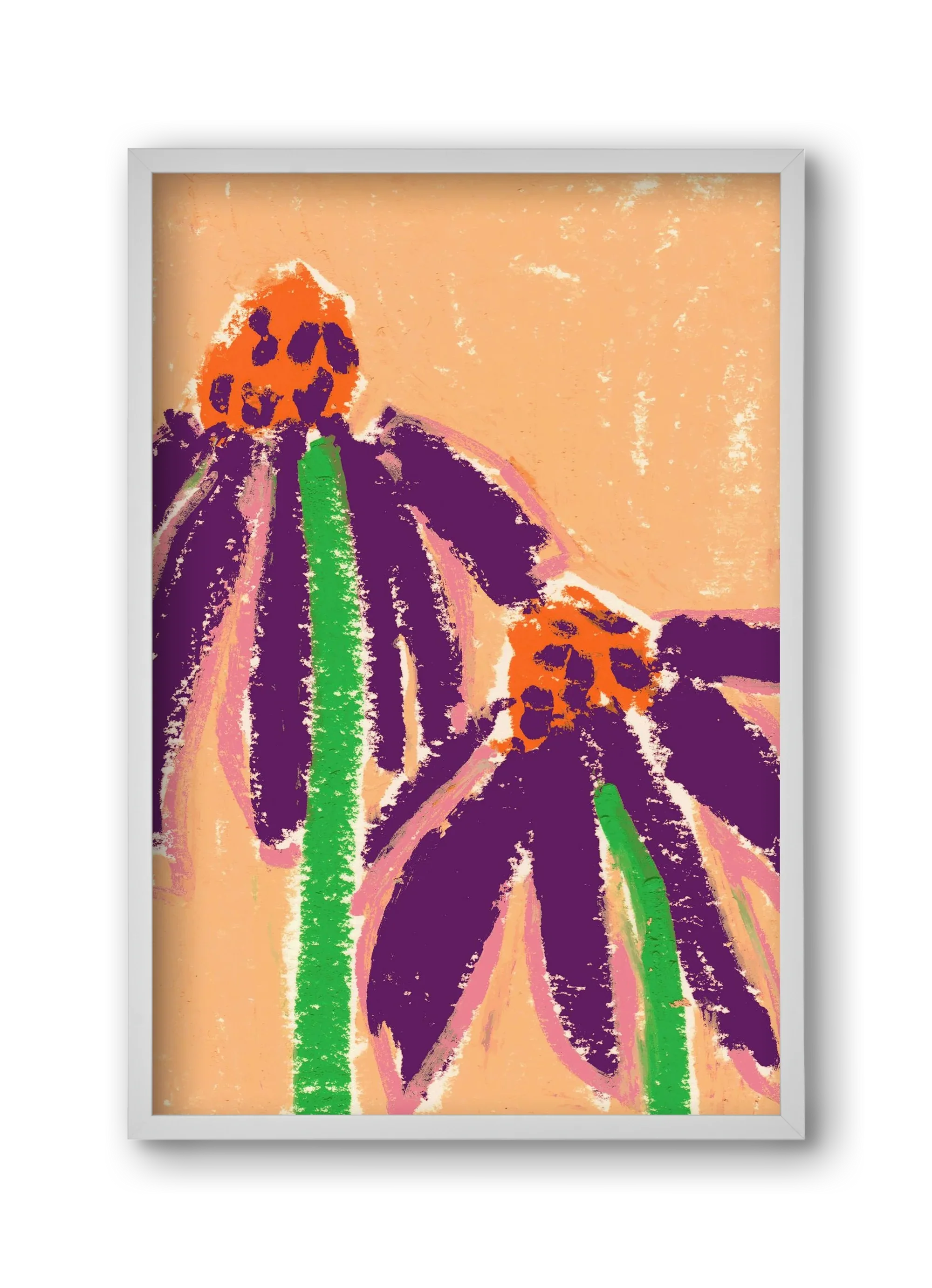Echinacea - artbridge