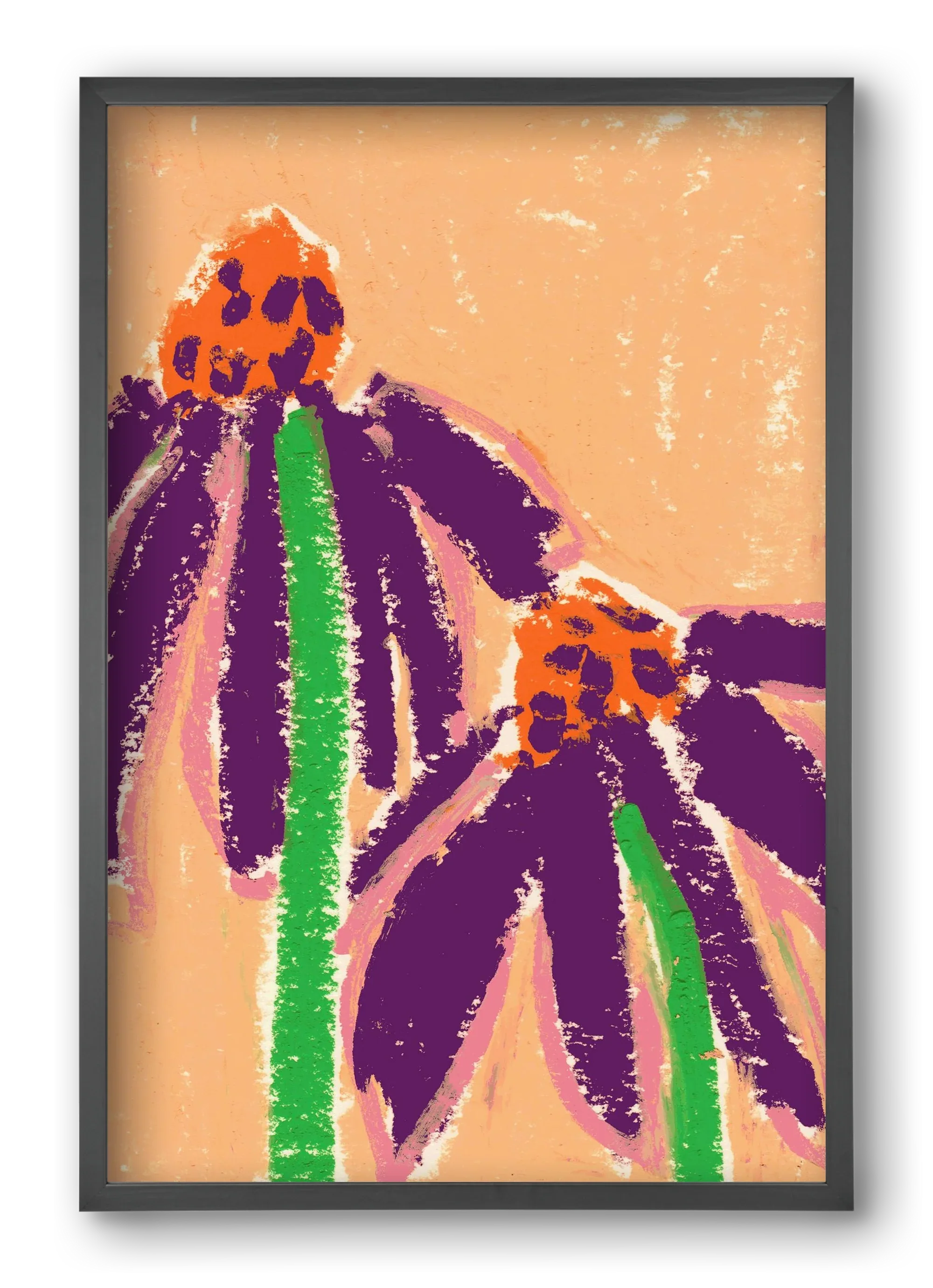 Echinacea - artbridge