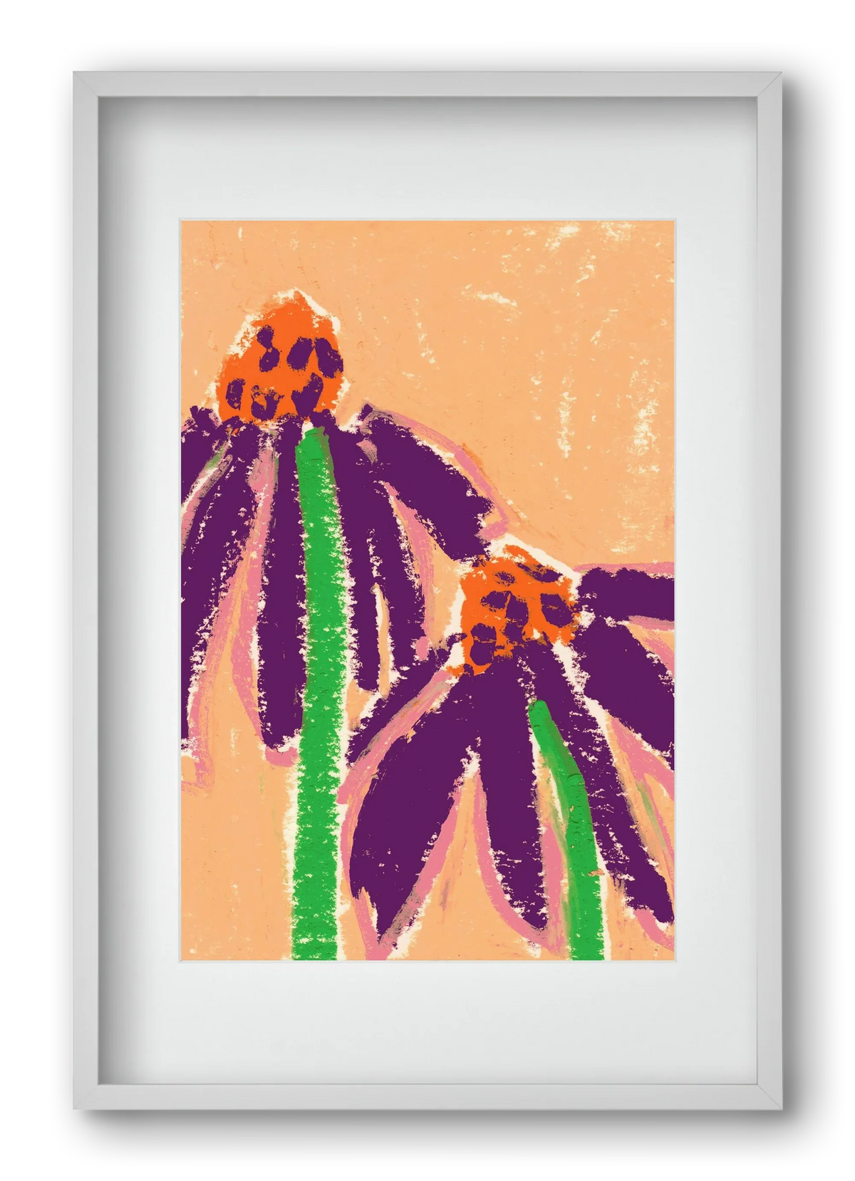 Echinacea - artbridge