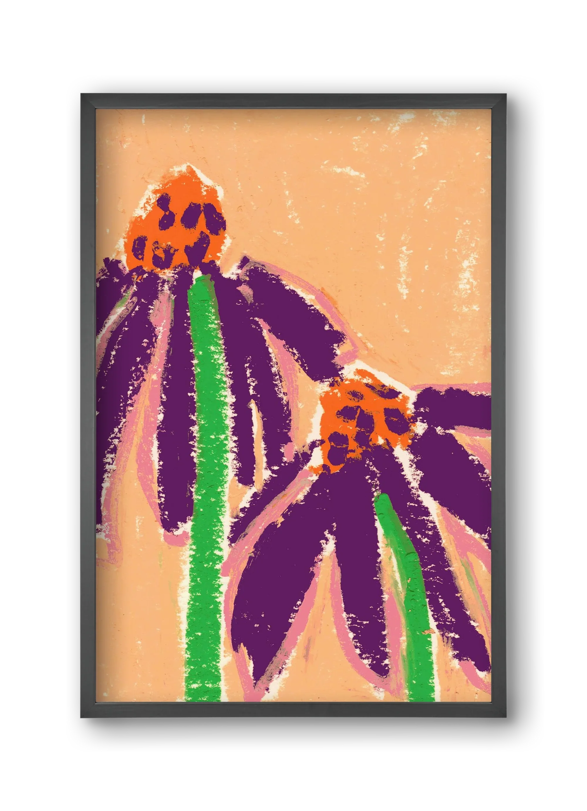 Echinacea - artbridge