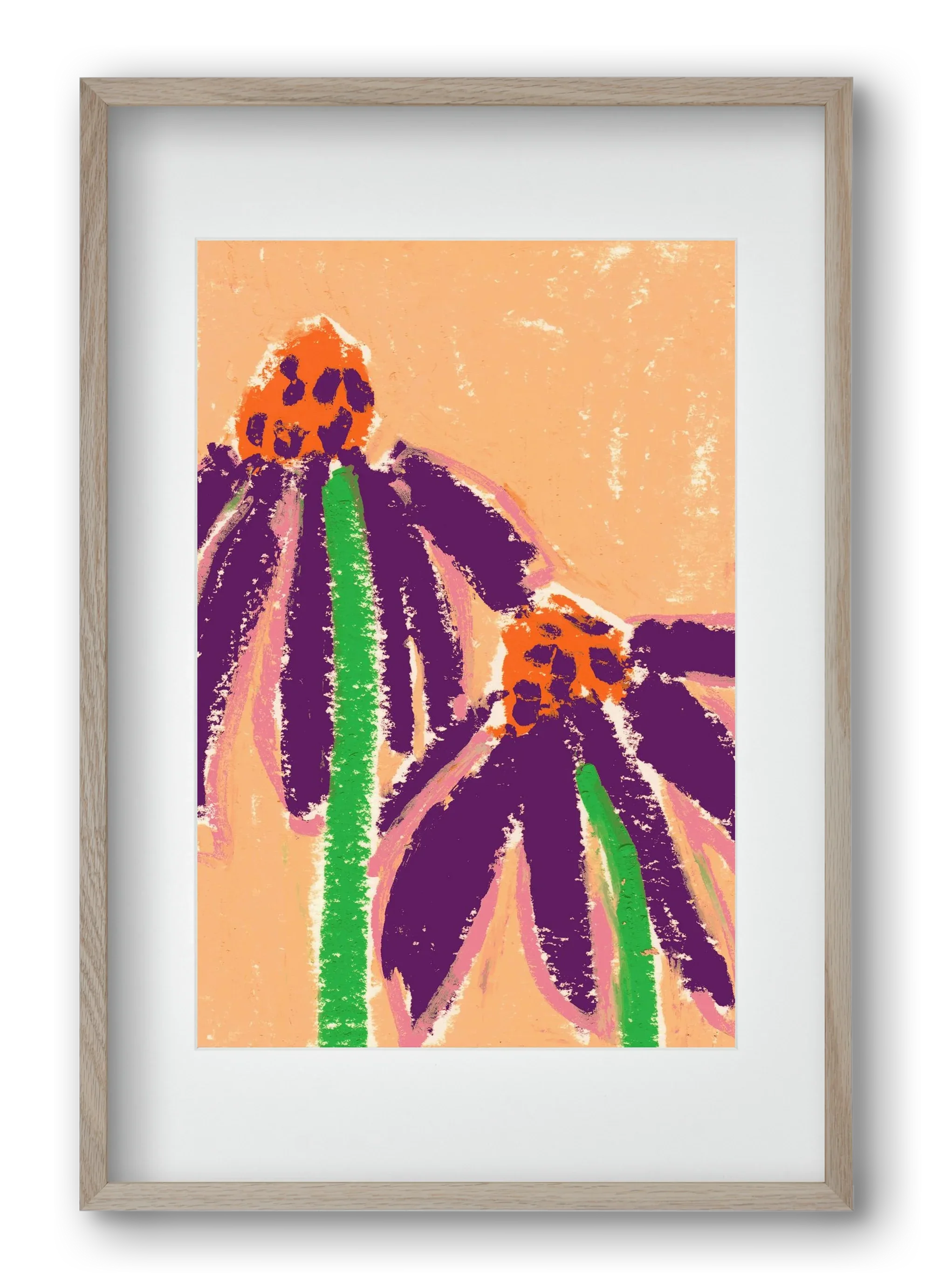 Echinacea - artbridge