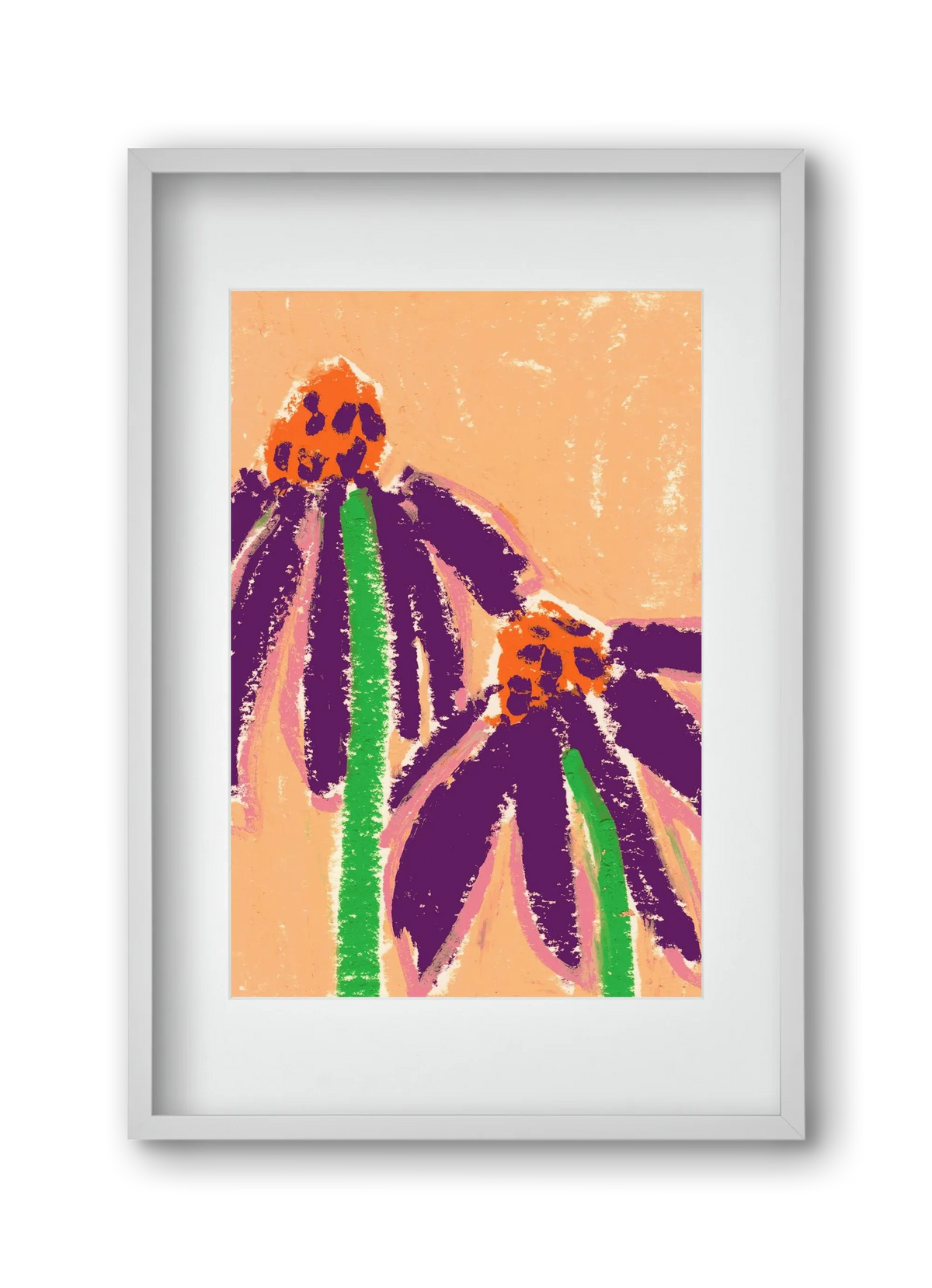 Echinacea - artbridge