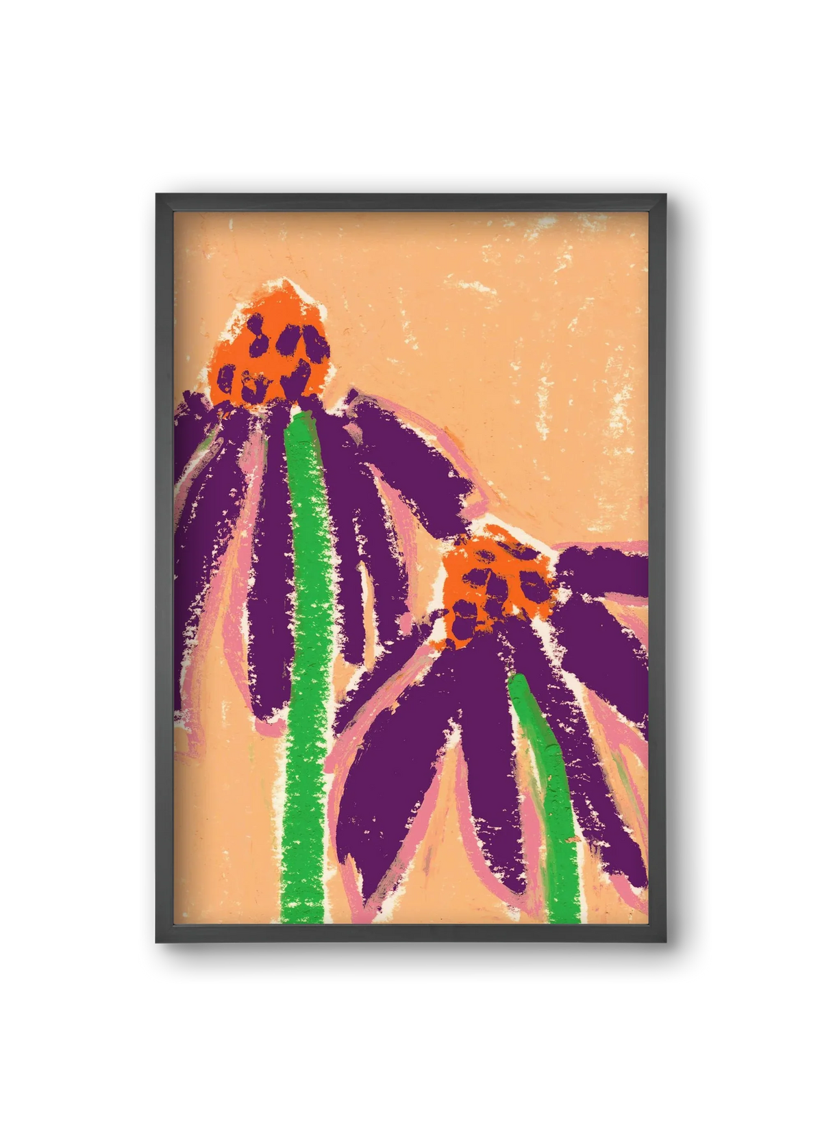 Echinacea - artbridge