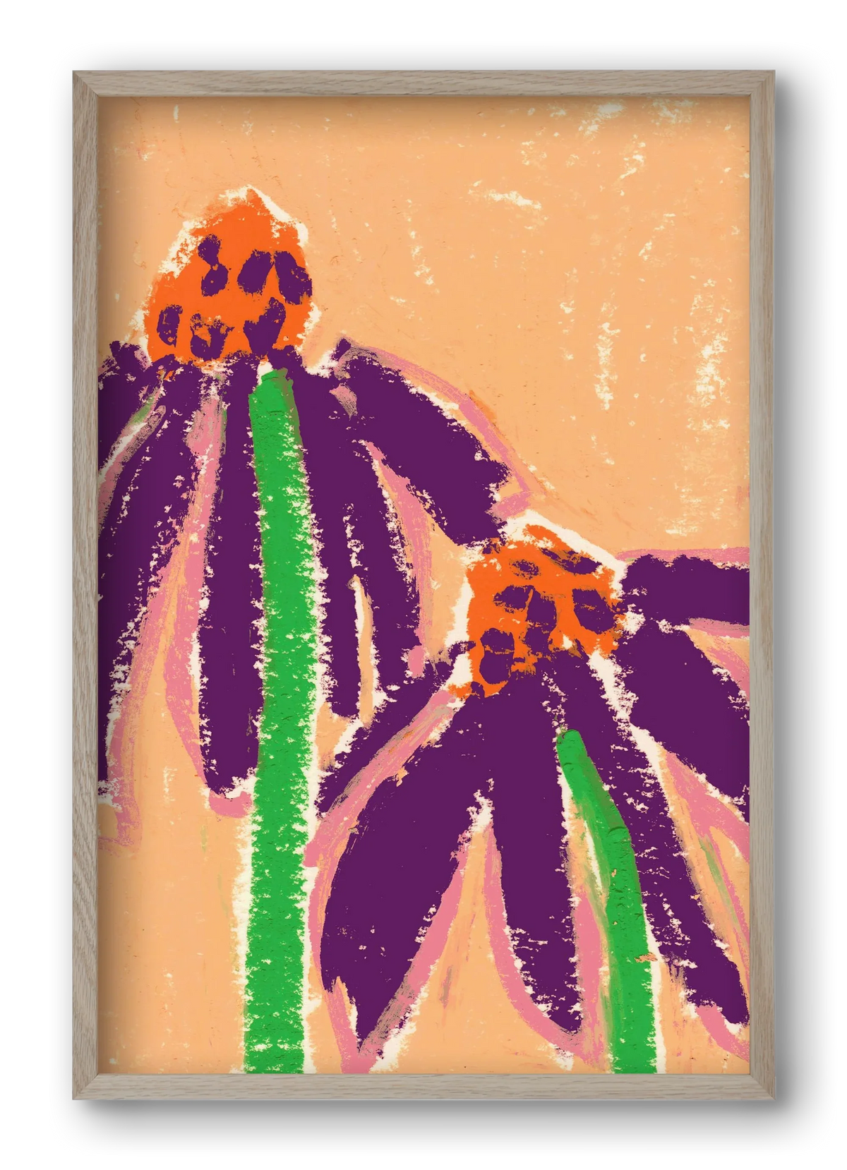 Echinacea - artbridge