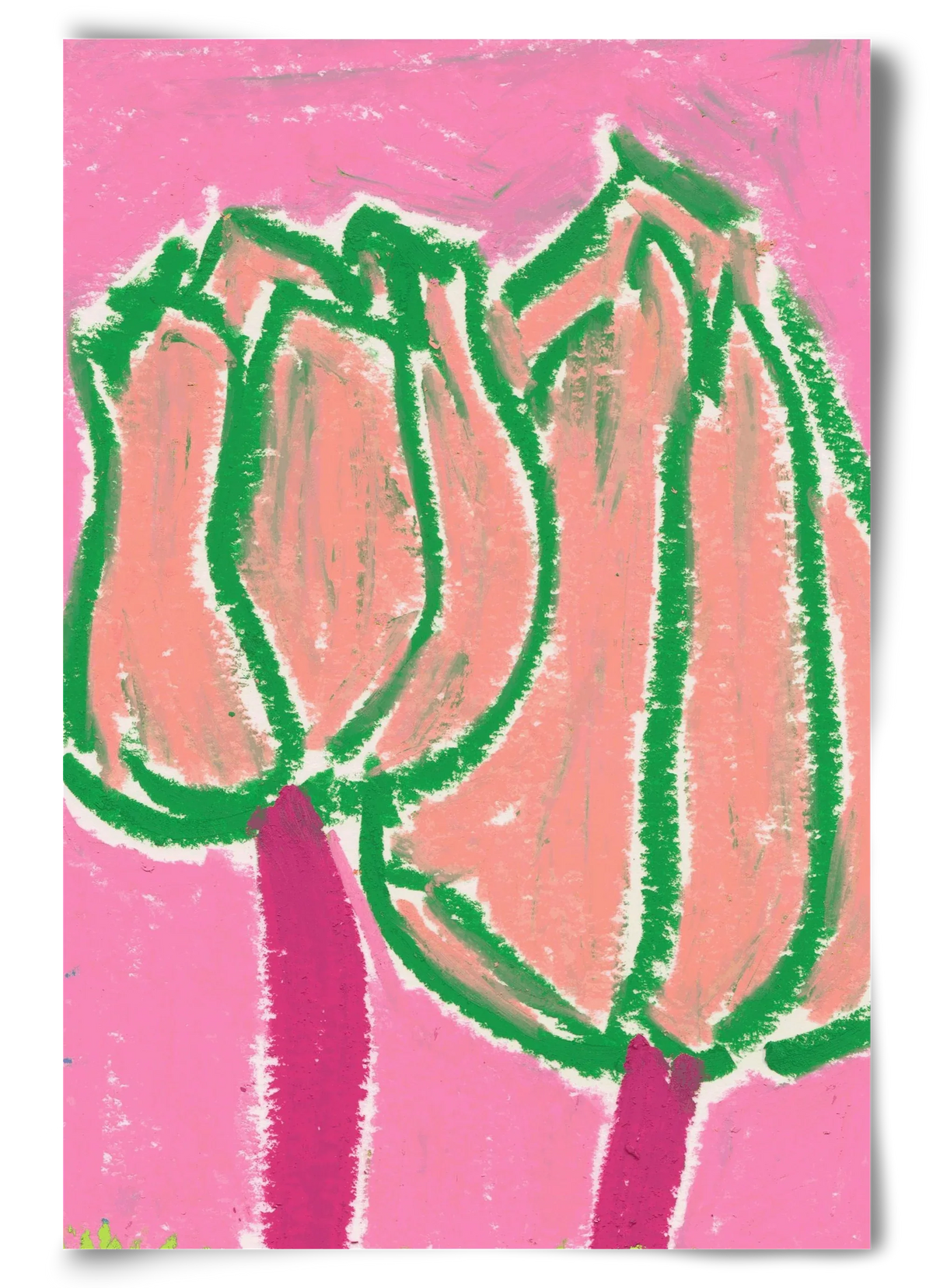 Pink tulips - artbridge