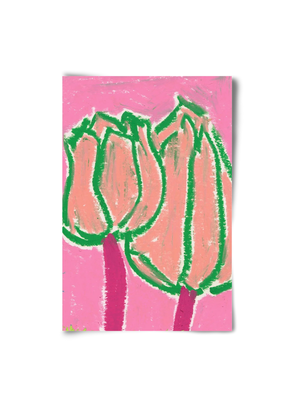 Pink tulips - artbridge