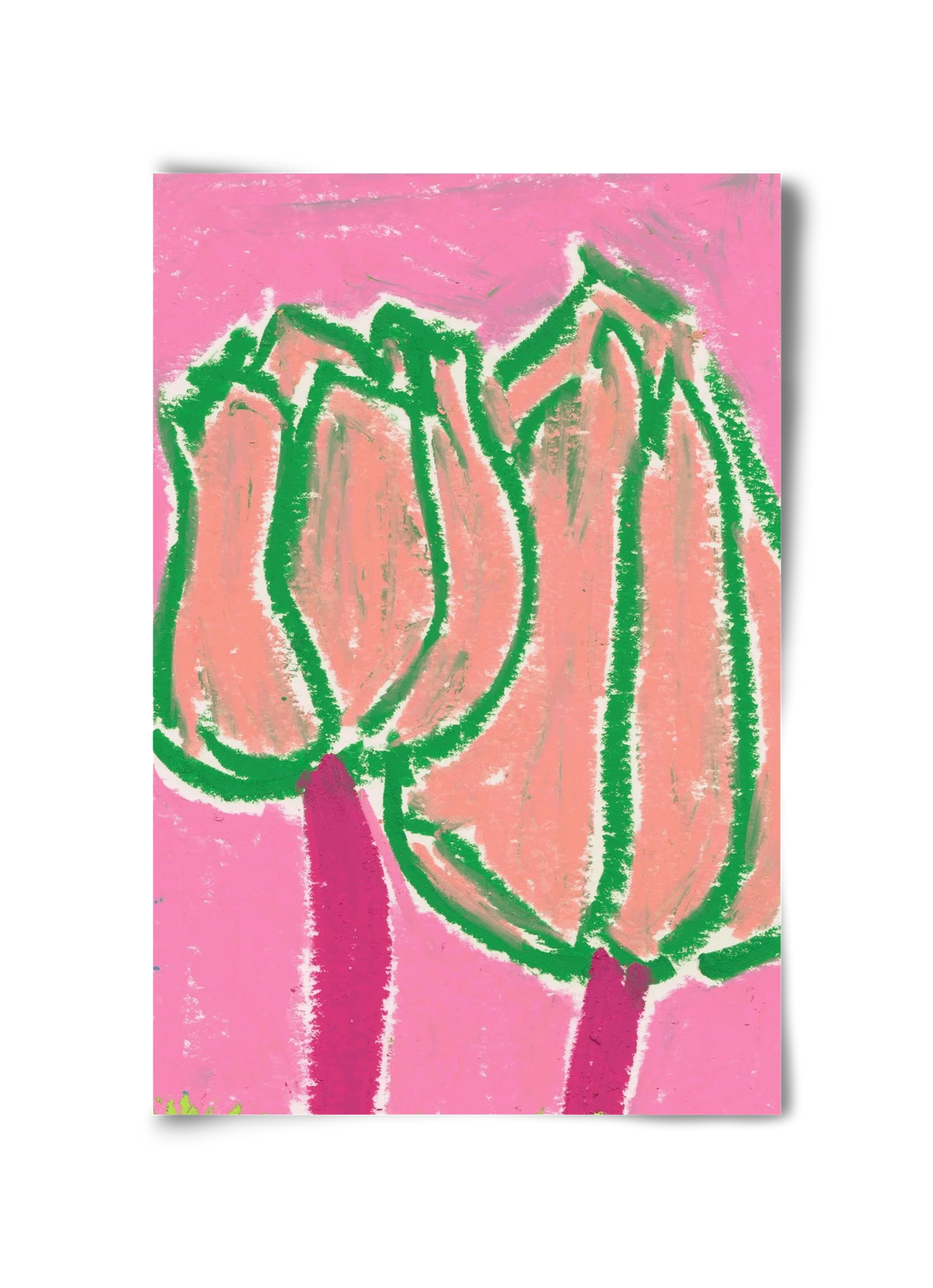 Pink tulips - artbridge