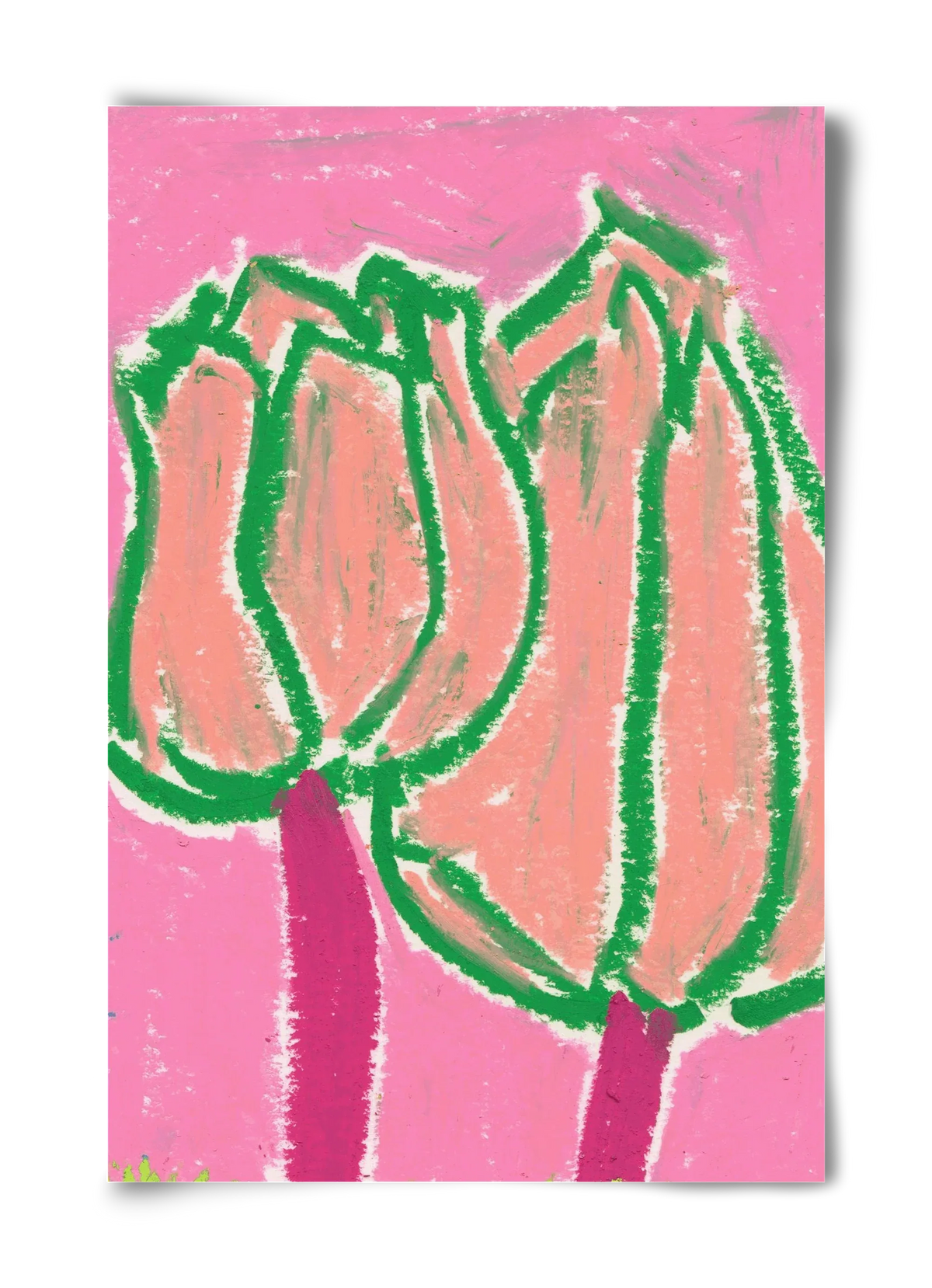 Pink tulips - artbridge