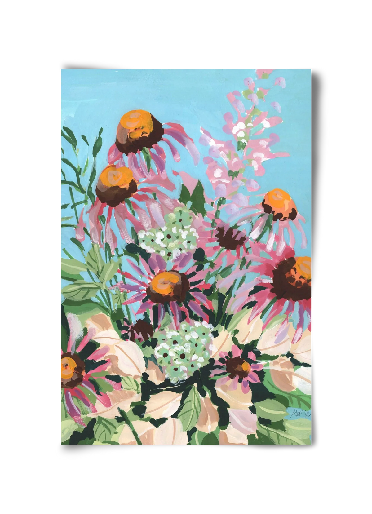 Echinacea purpurea - artbridge
