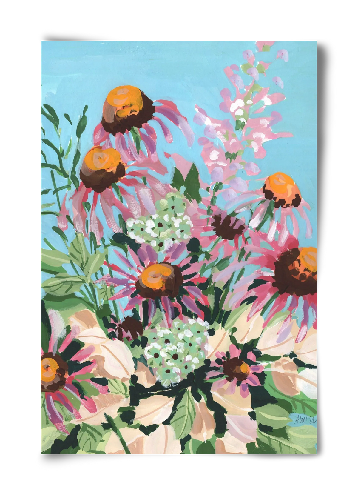 Echinacea purpurea - artbridge